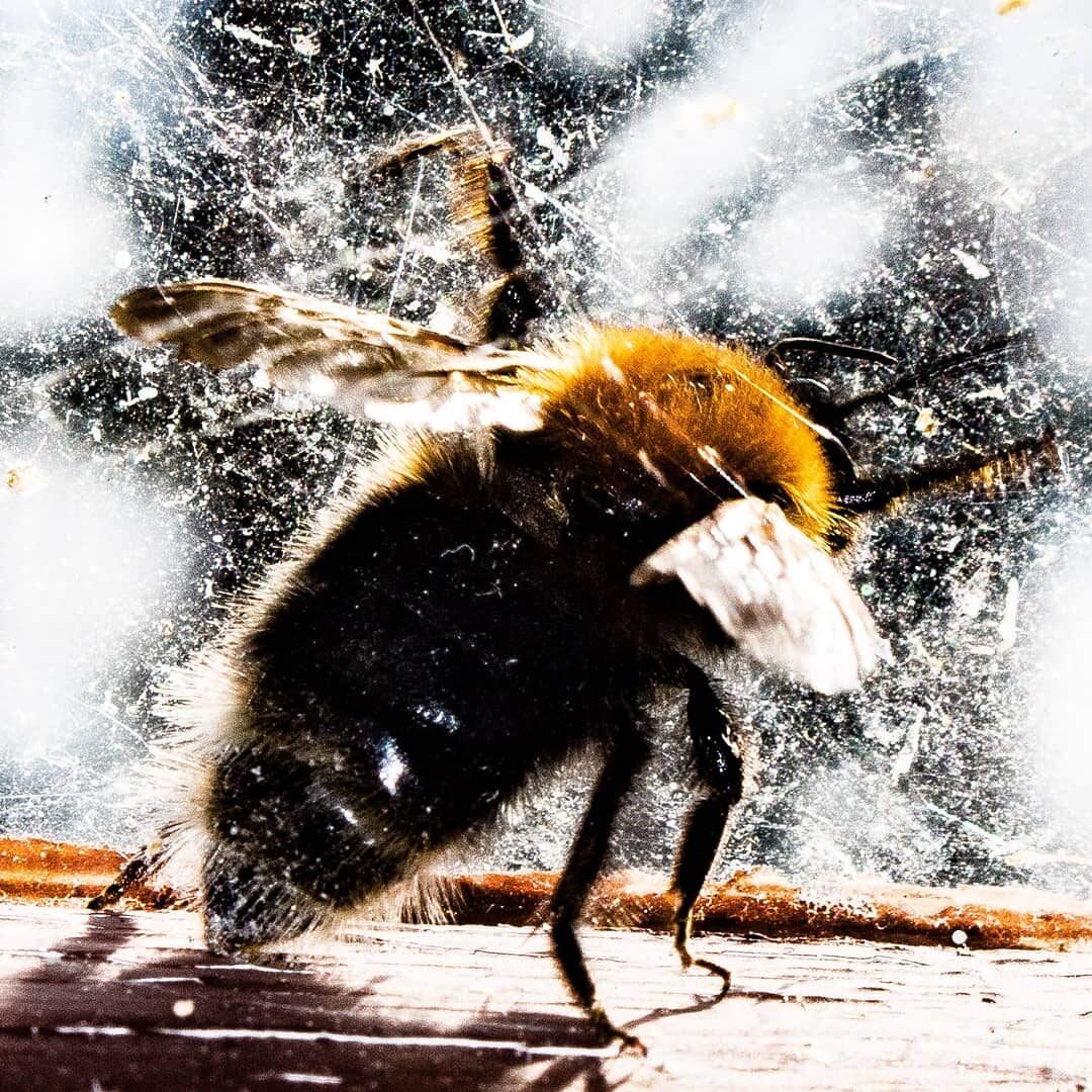 Valokuvaaja: Johanna Pietiläinen