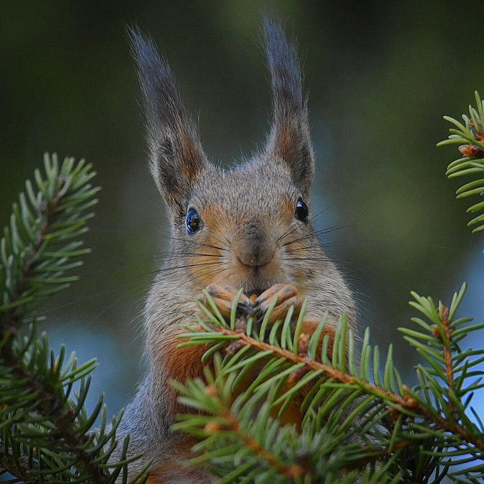 Valokuvaaja: eraopa_s