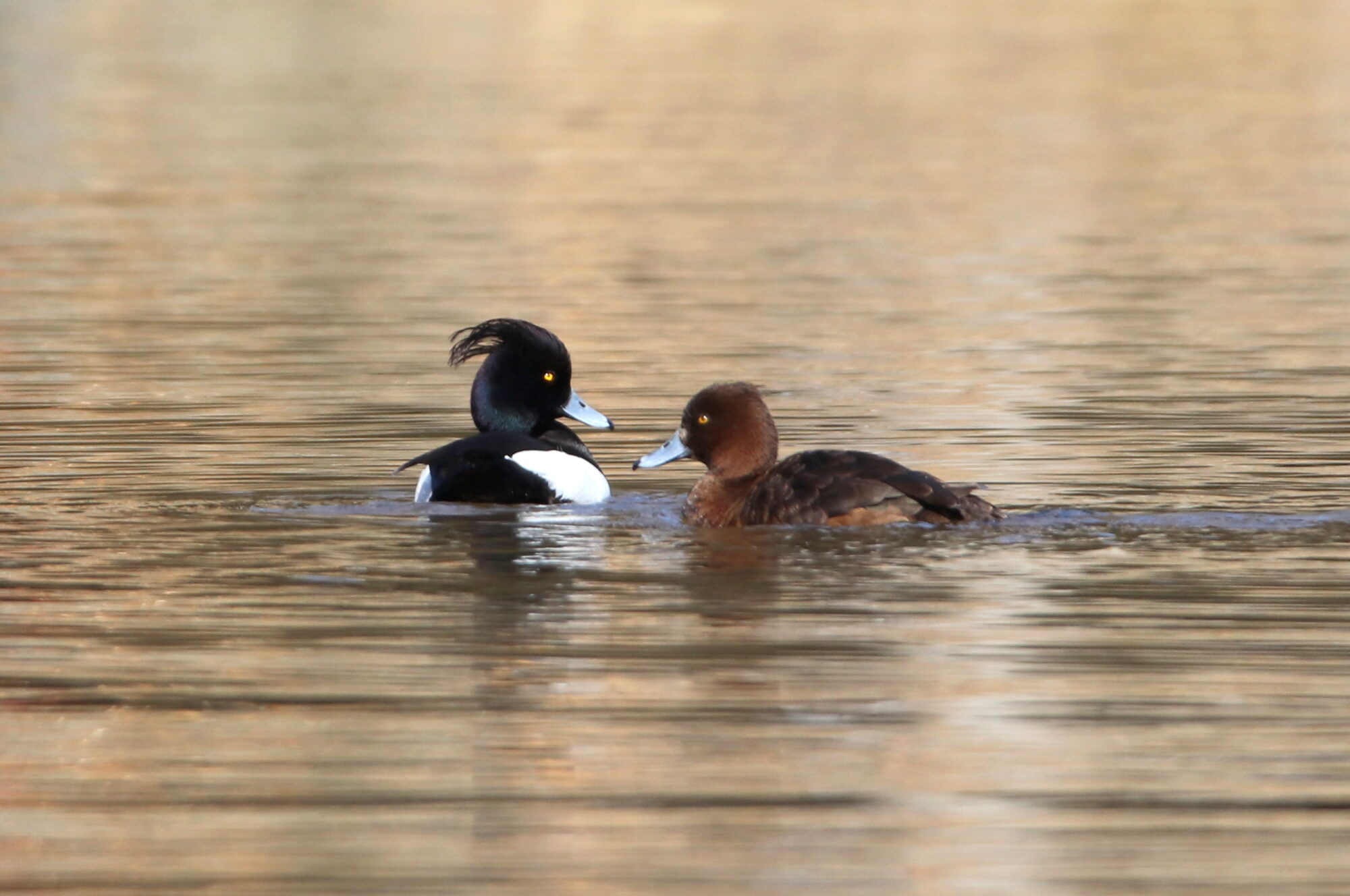 Valokuvaaja: Irja Lehtinen