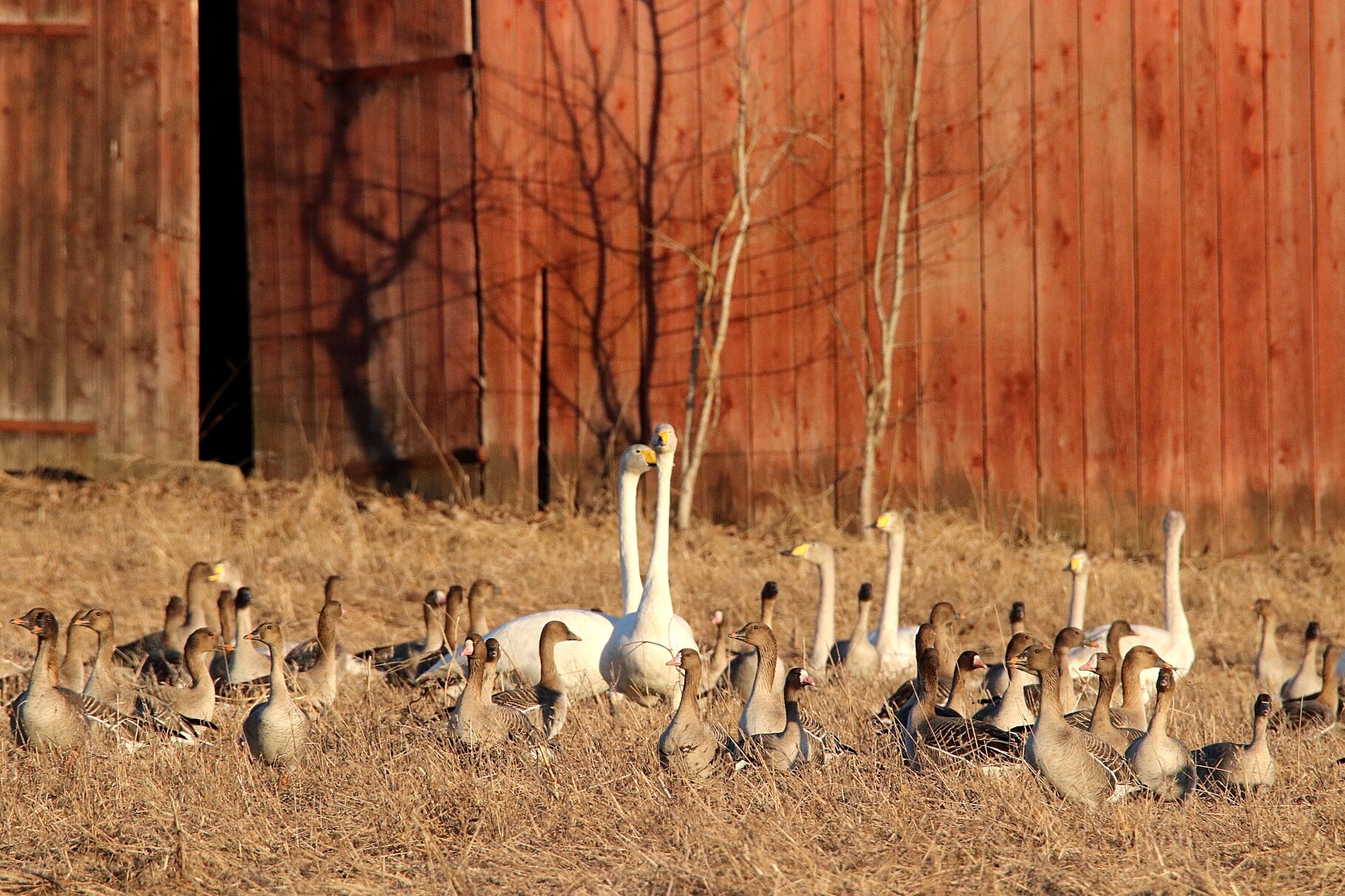 Valokuvaaja: Irja Lehtinen