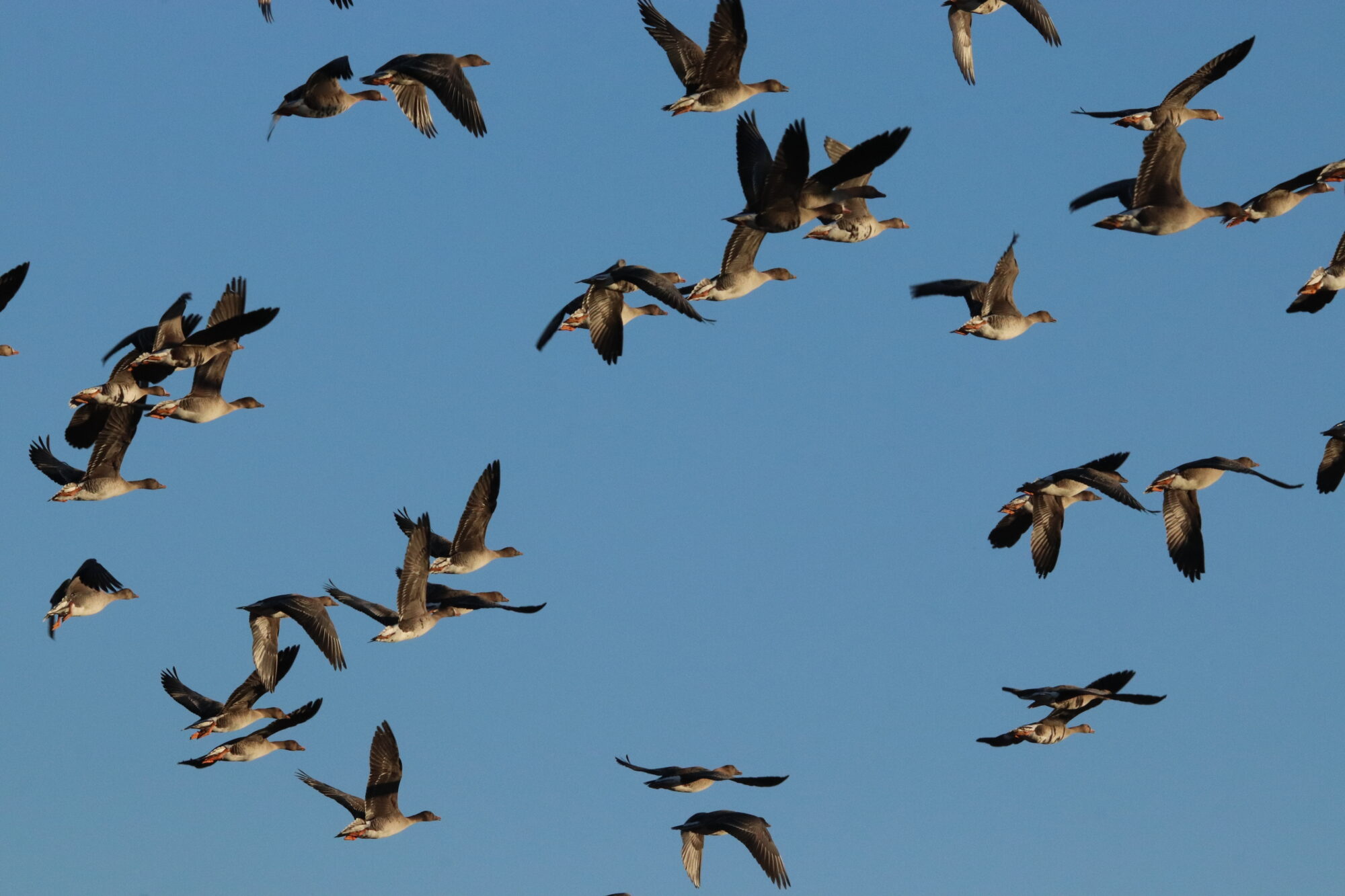 Valokuvaaja: Irja Lehtinen