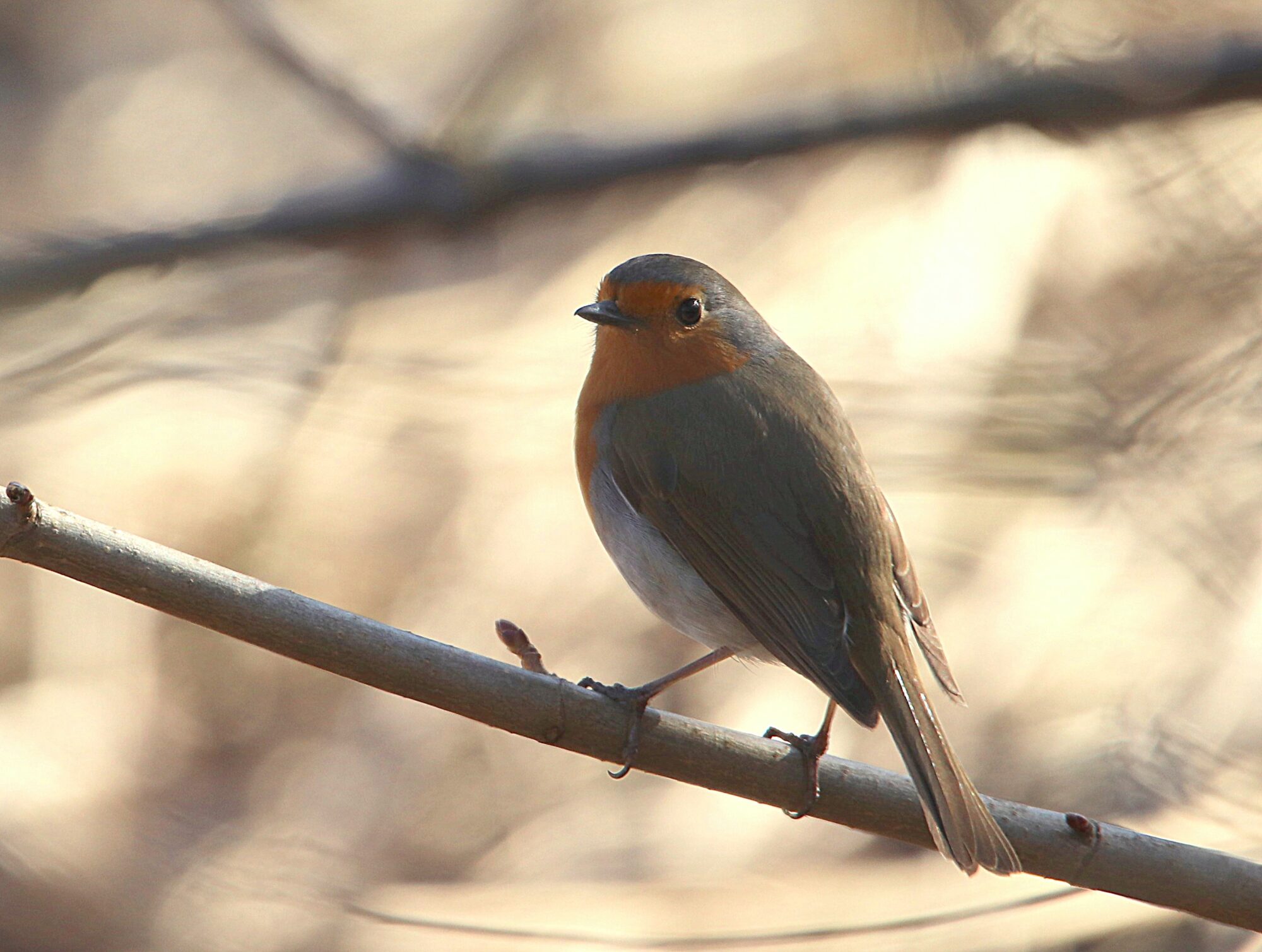 Valokuvaaja: Irja Lehtinen
