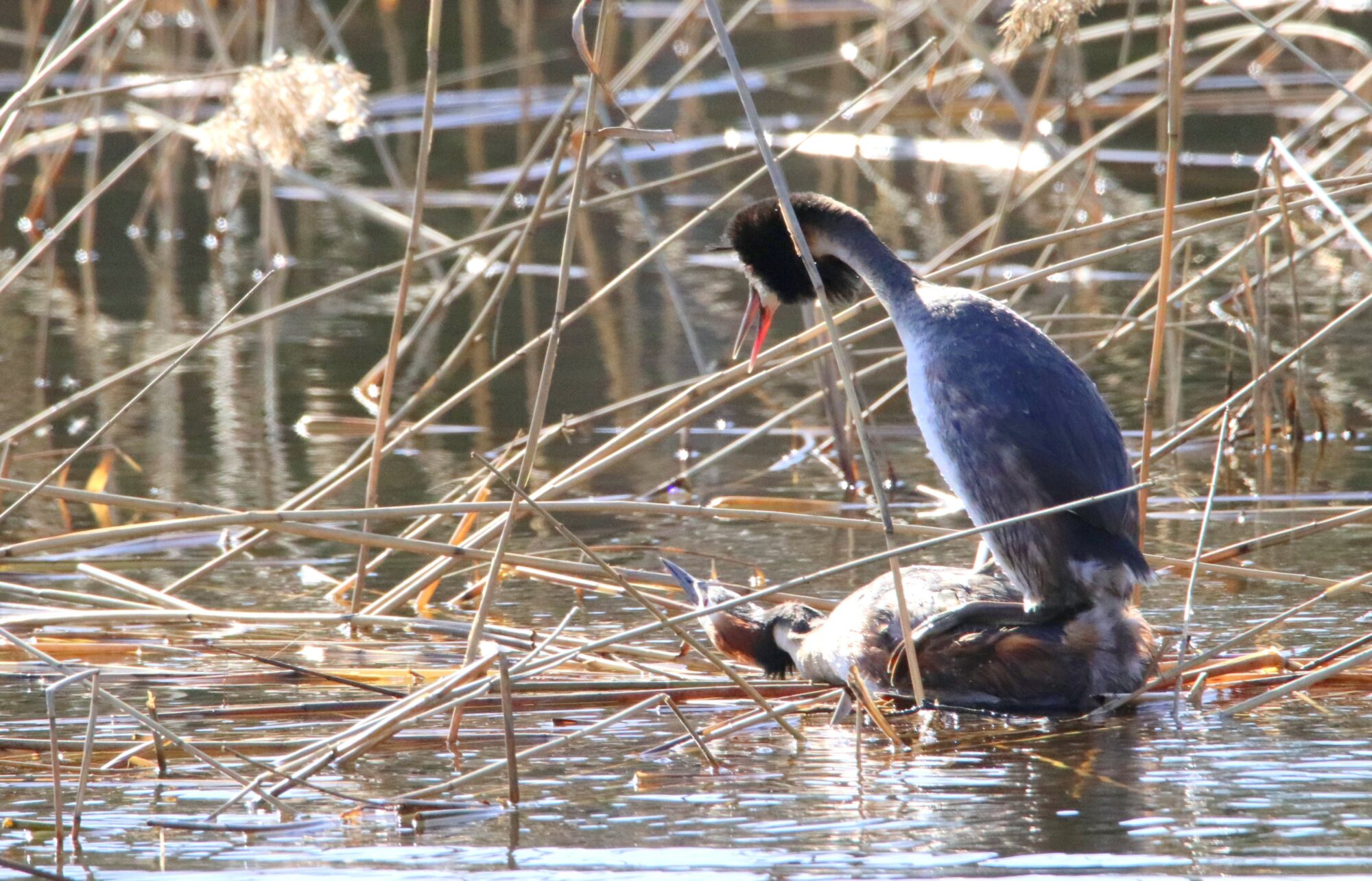 Valokuvaaja: Irja Lehtinen