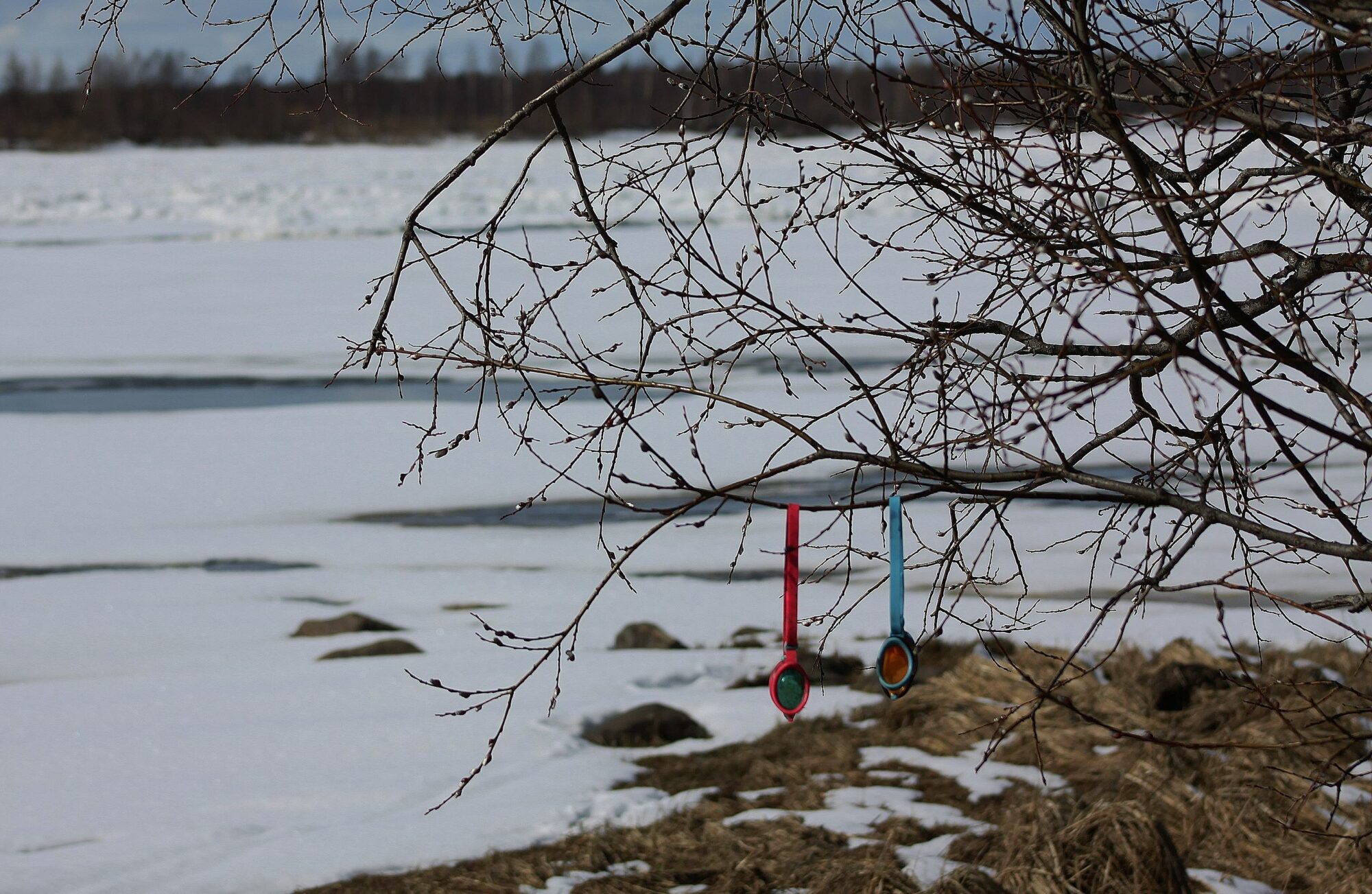 Valokuvaaja: Pirkko Siukonen