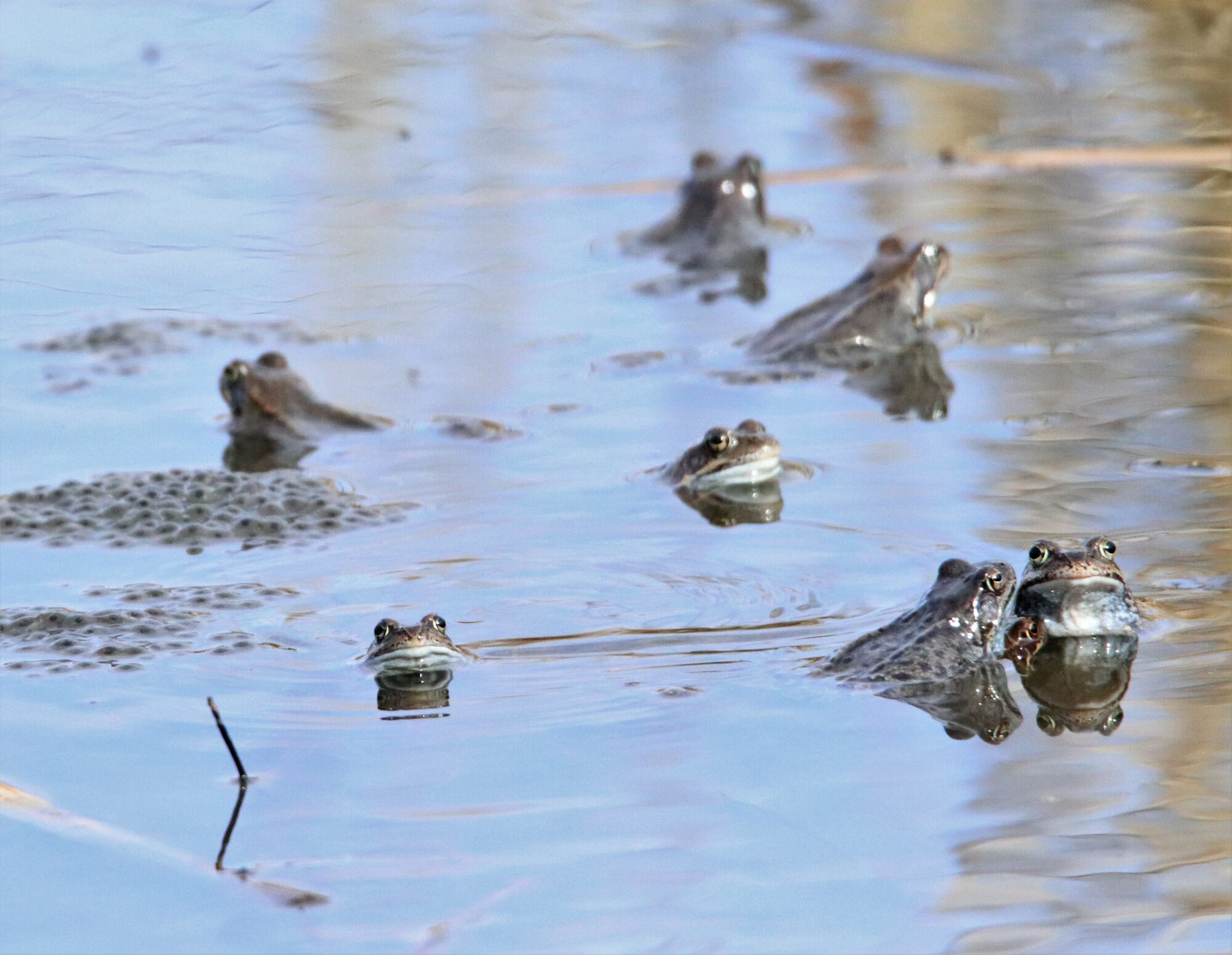 Valokuvaaja: Irja Lehtinen