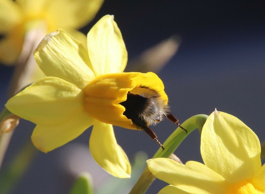 Valokuvaaja: Risto Kulmala