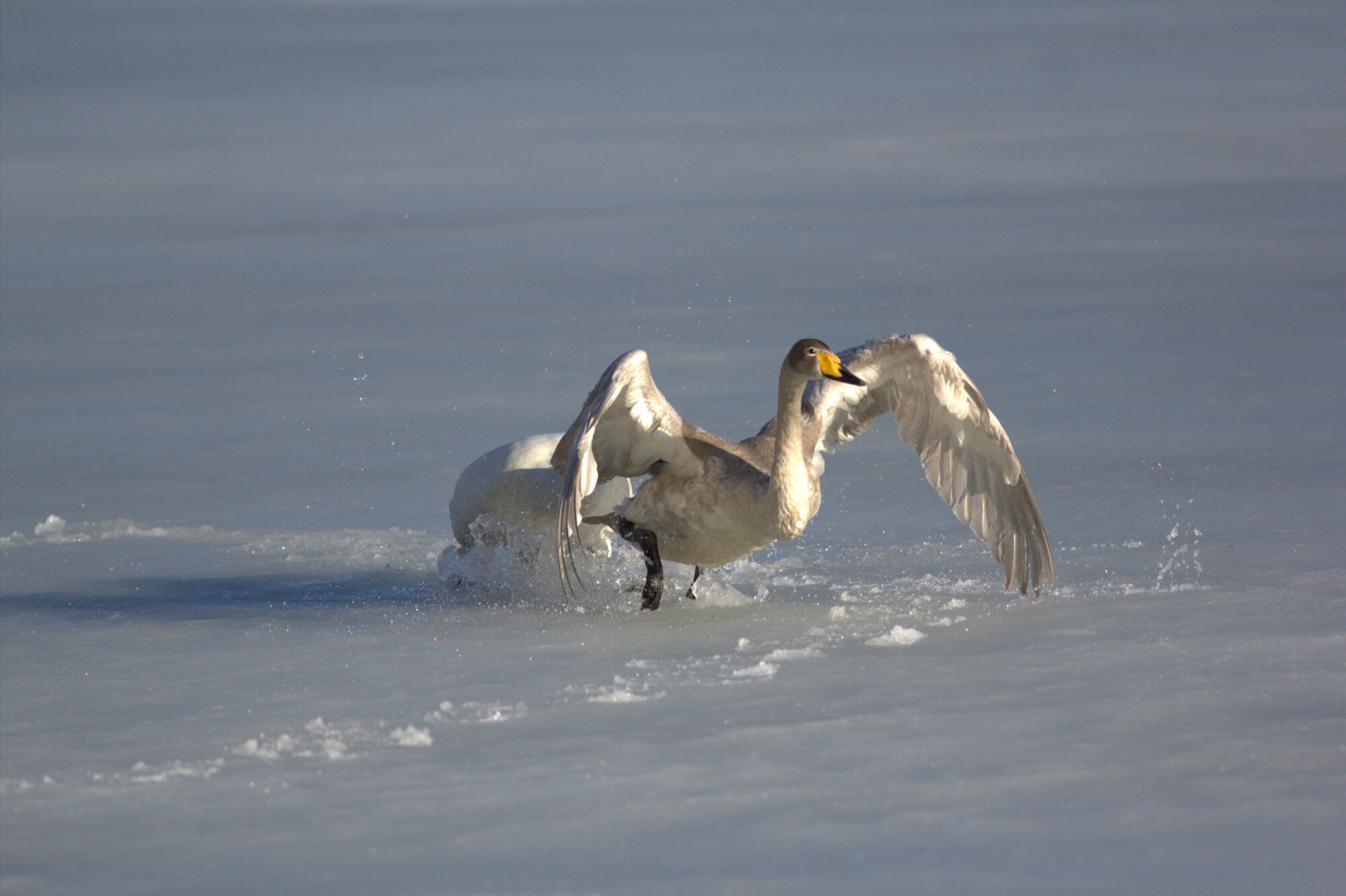 Valokuvaaja: tapio keinonen