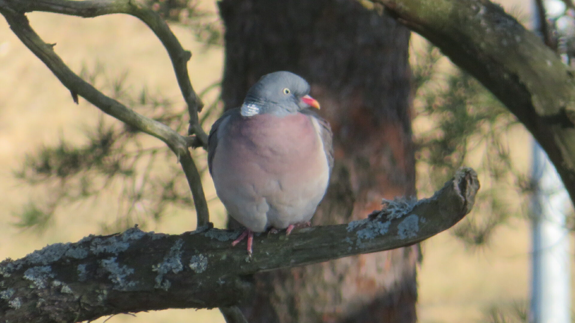 Valokuvaaja: Risto Kangassalo