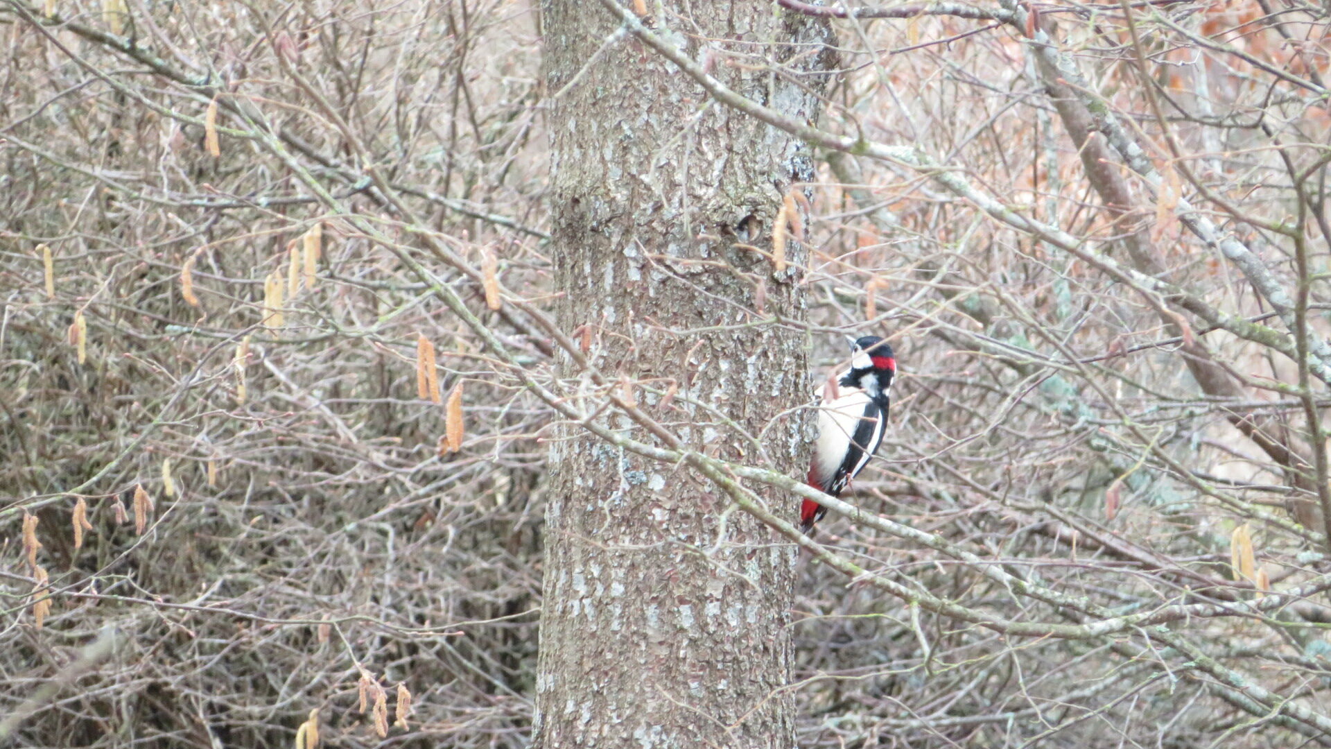 Valokuvaaja: Risto Kangassalo Valokuvaaja: Risto Kangassalo