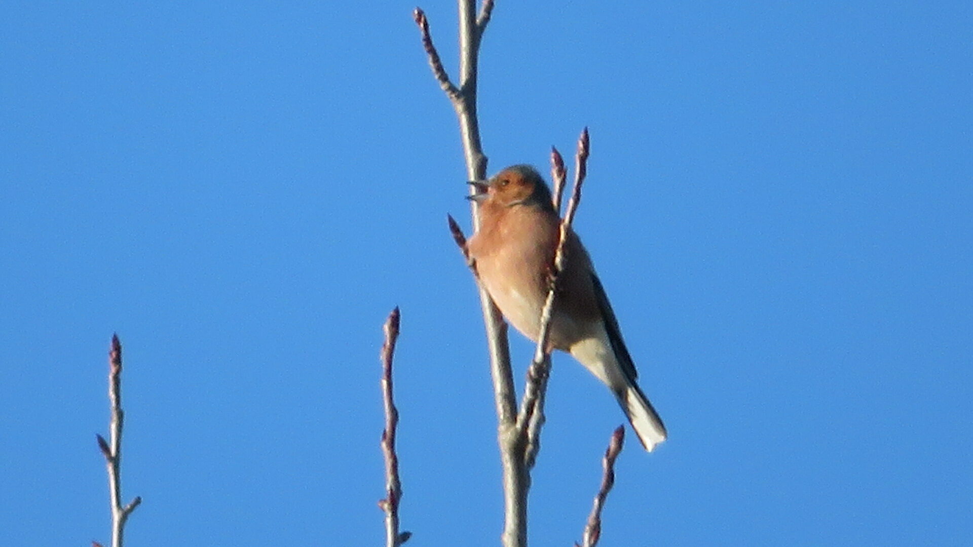 Valokuvaaja: Risto Kangassalo