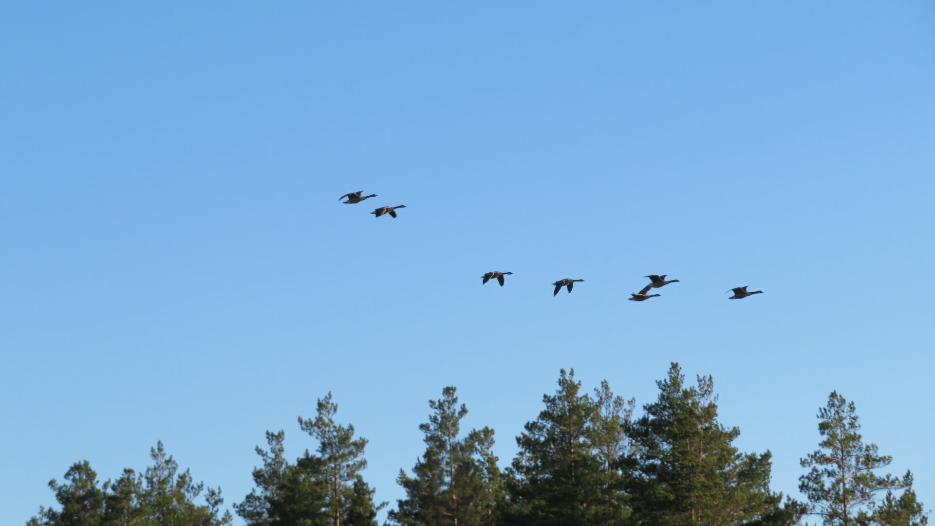 Valokuvaaja: Risto Kangassalo