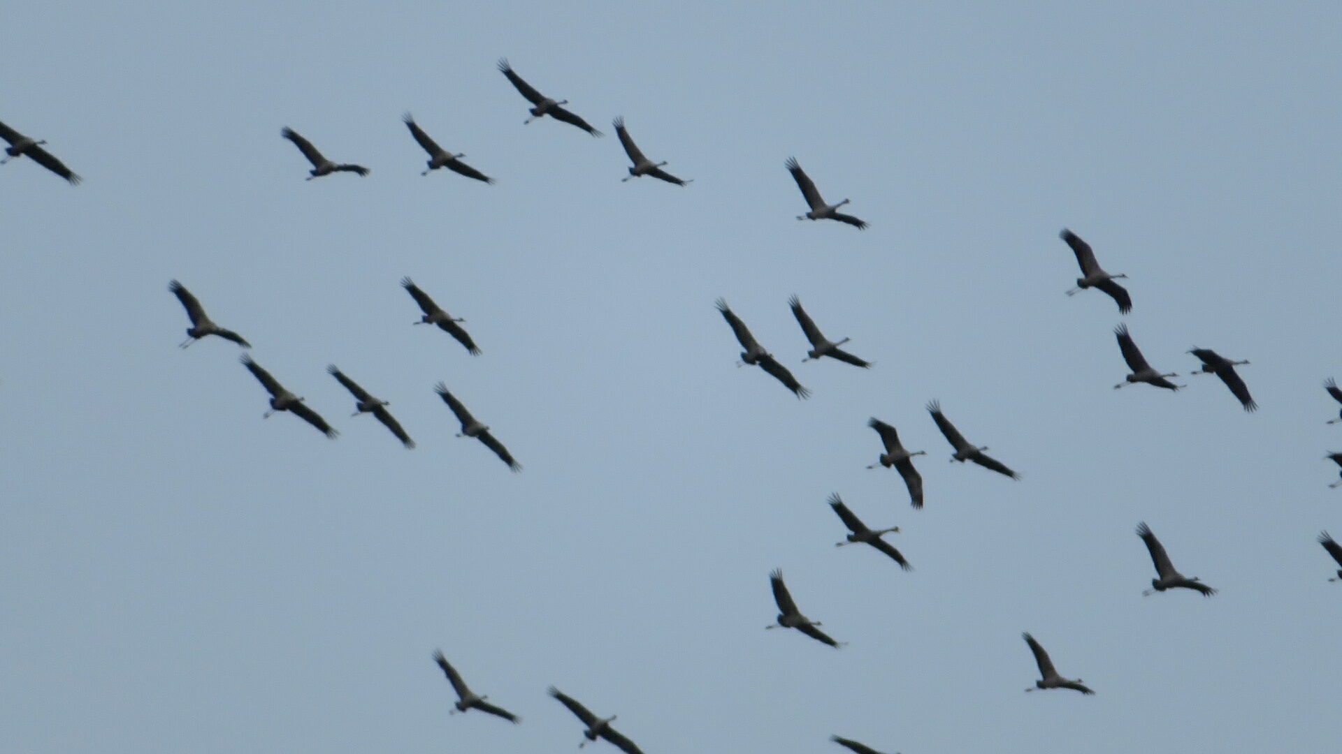 Valokuvaaja: Risto Kangassalo