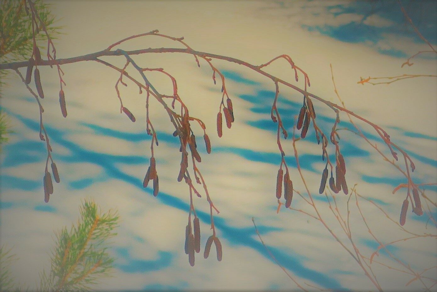 Valokuvaaja: Arto Alasuutari