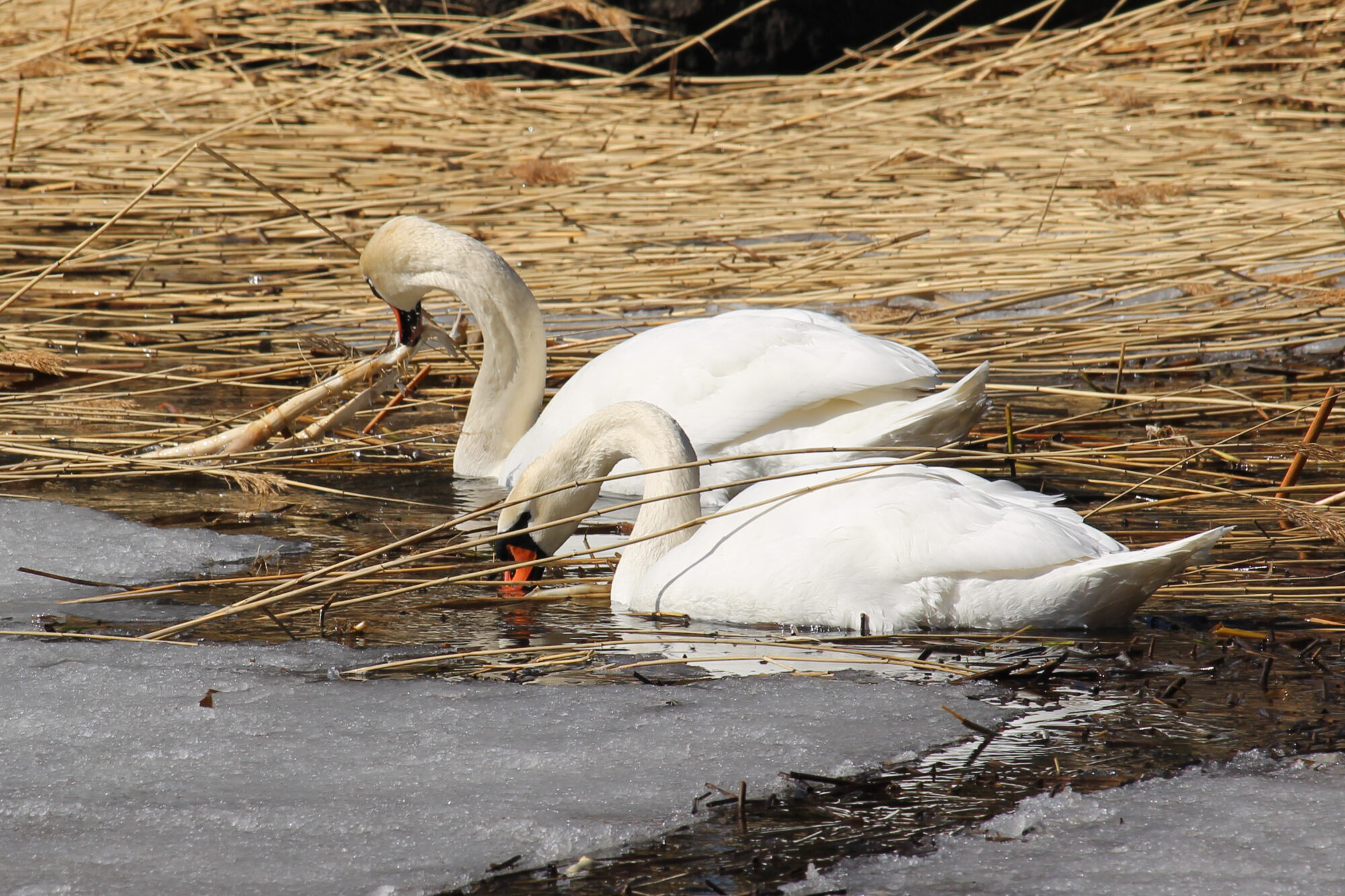 Valokuvaaja: Kirsi-Marja Joenpolvi