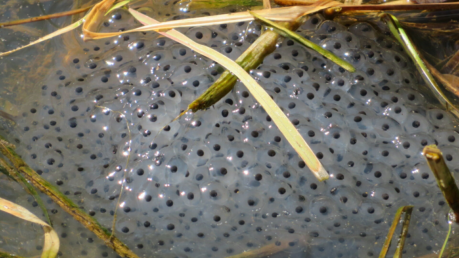 Valokuvaaja: Risto Kangassalo