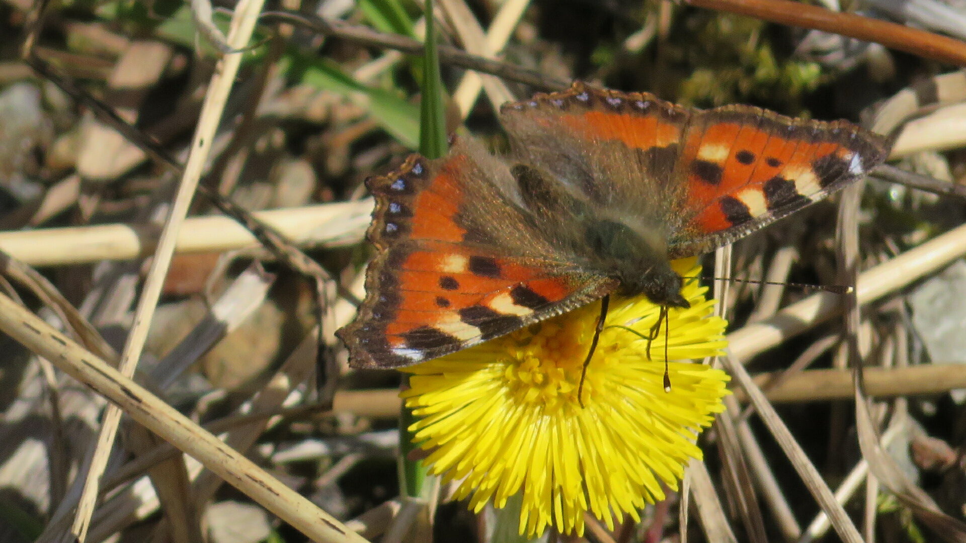 Valokuvaaja: Risto Kangassalo
