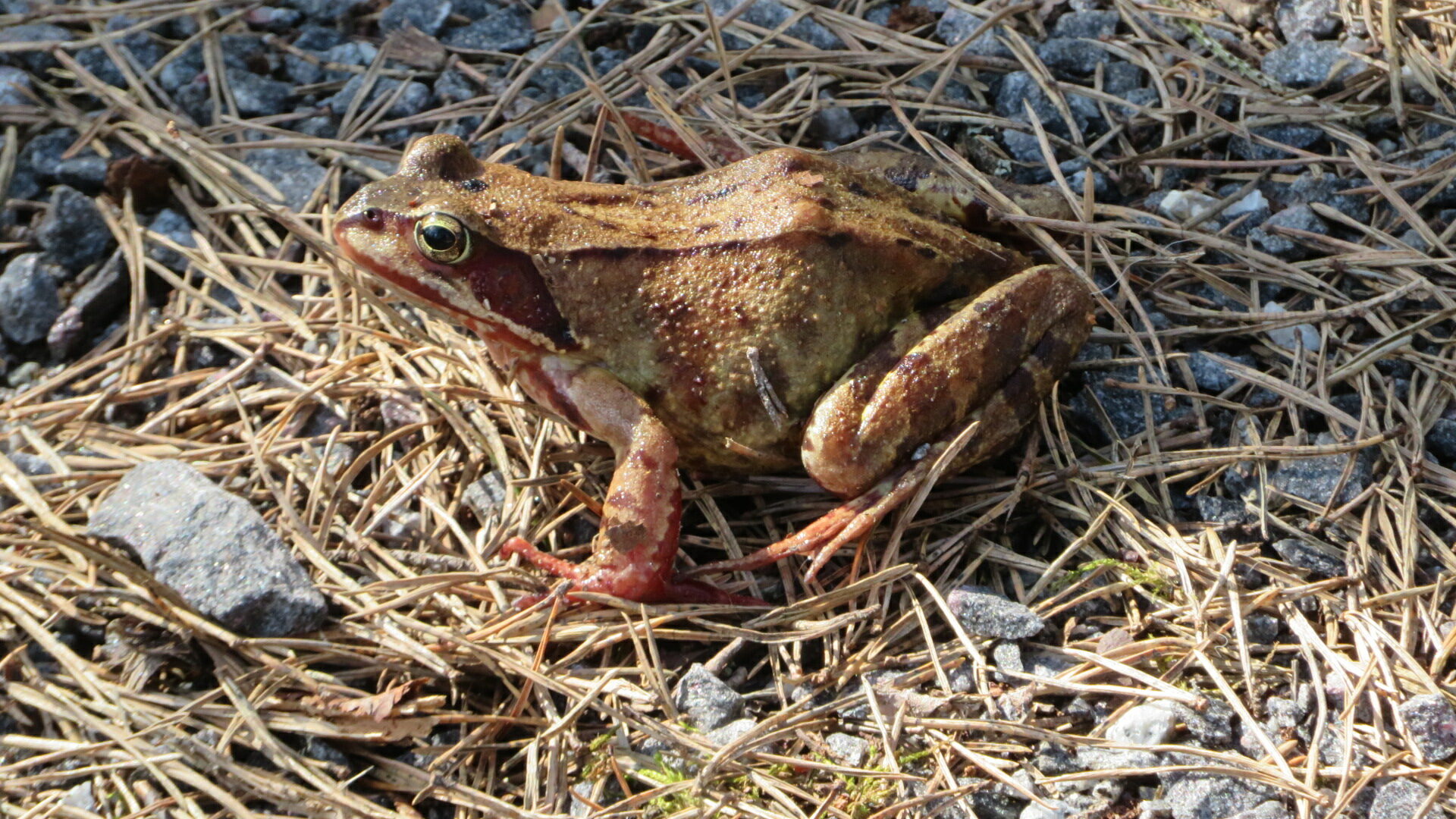 Valokuvaaja: Risto Kangassalo