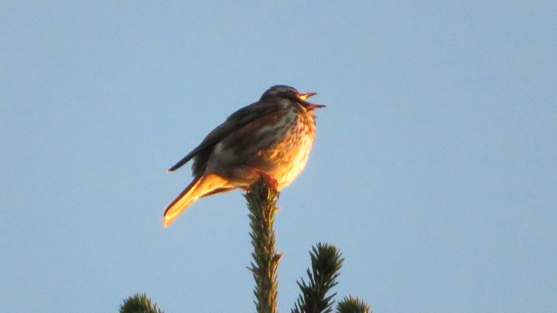 Valokuvaaja: Risto Kangassalo