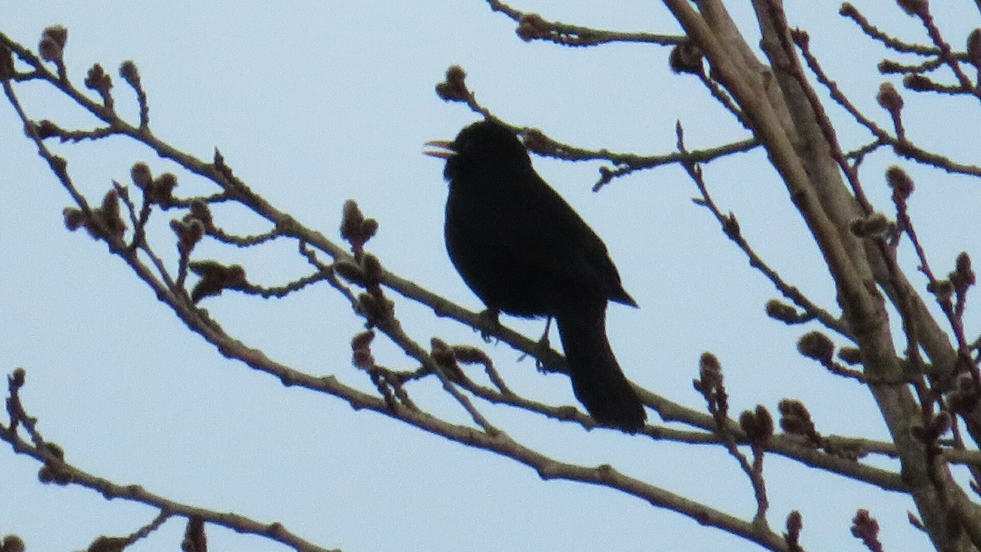 Valokuvaaja: Risto Kangassalo