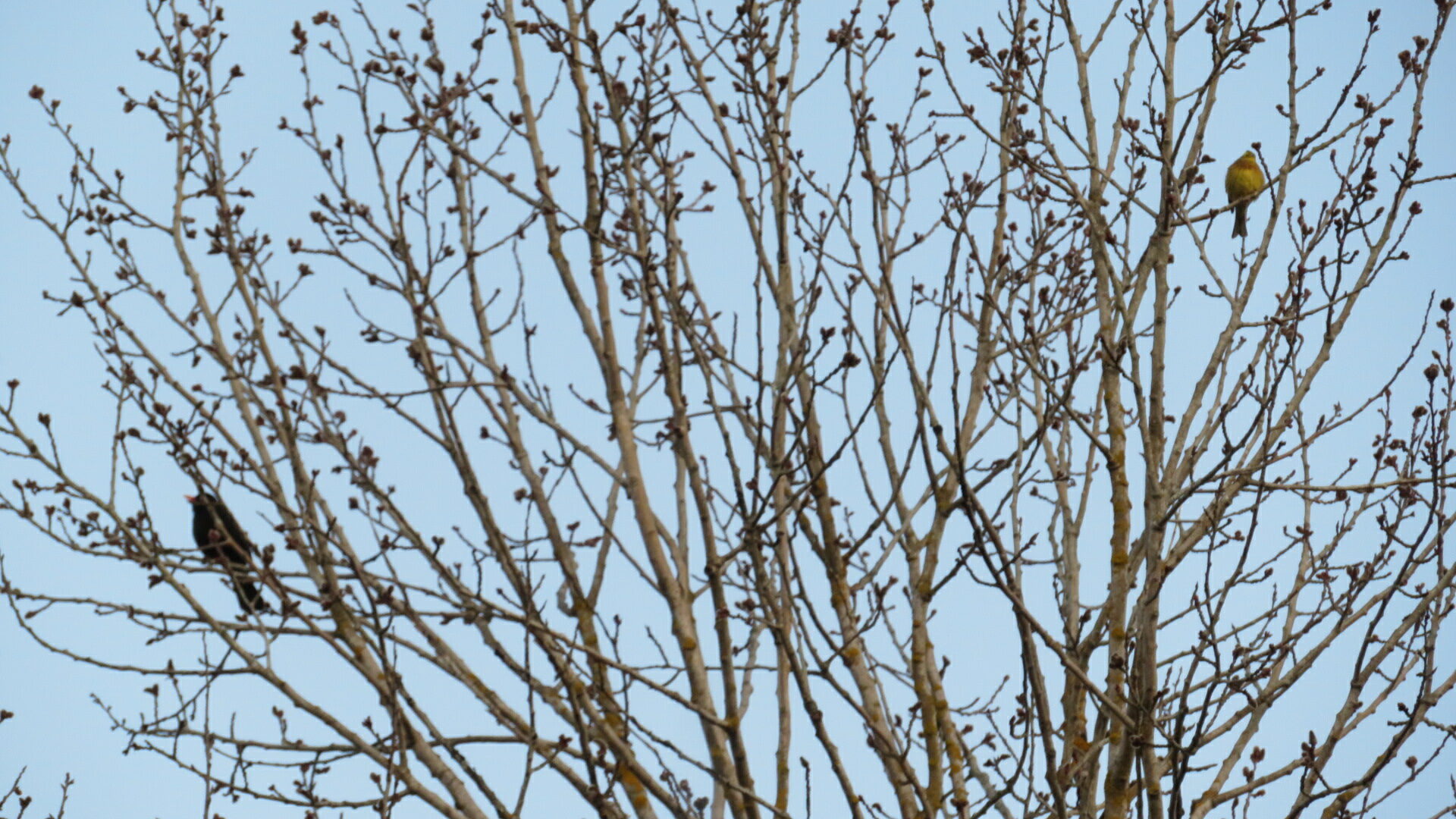 Valokuvaaja: Risto Kangassalo