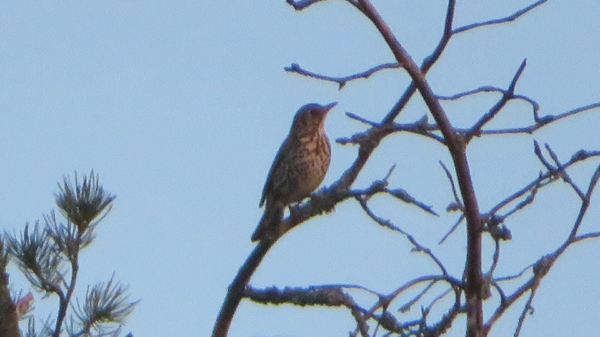 Valokuvaaja: Risto Kangassalo