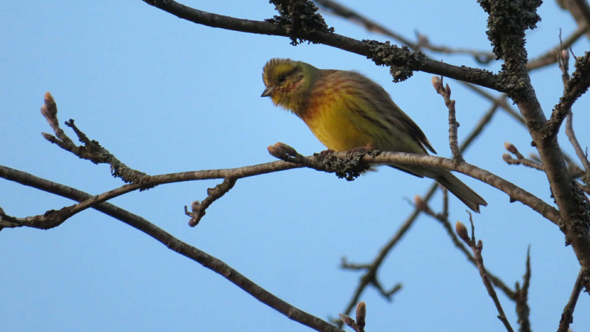 Valokuvaaja: Risto Kangassalo