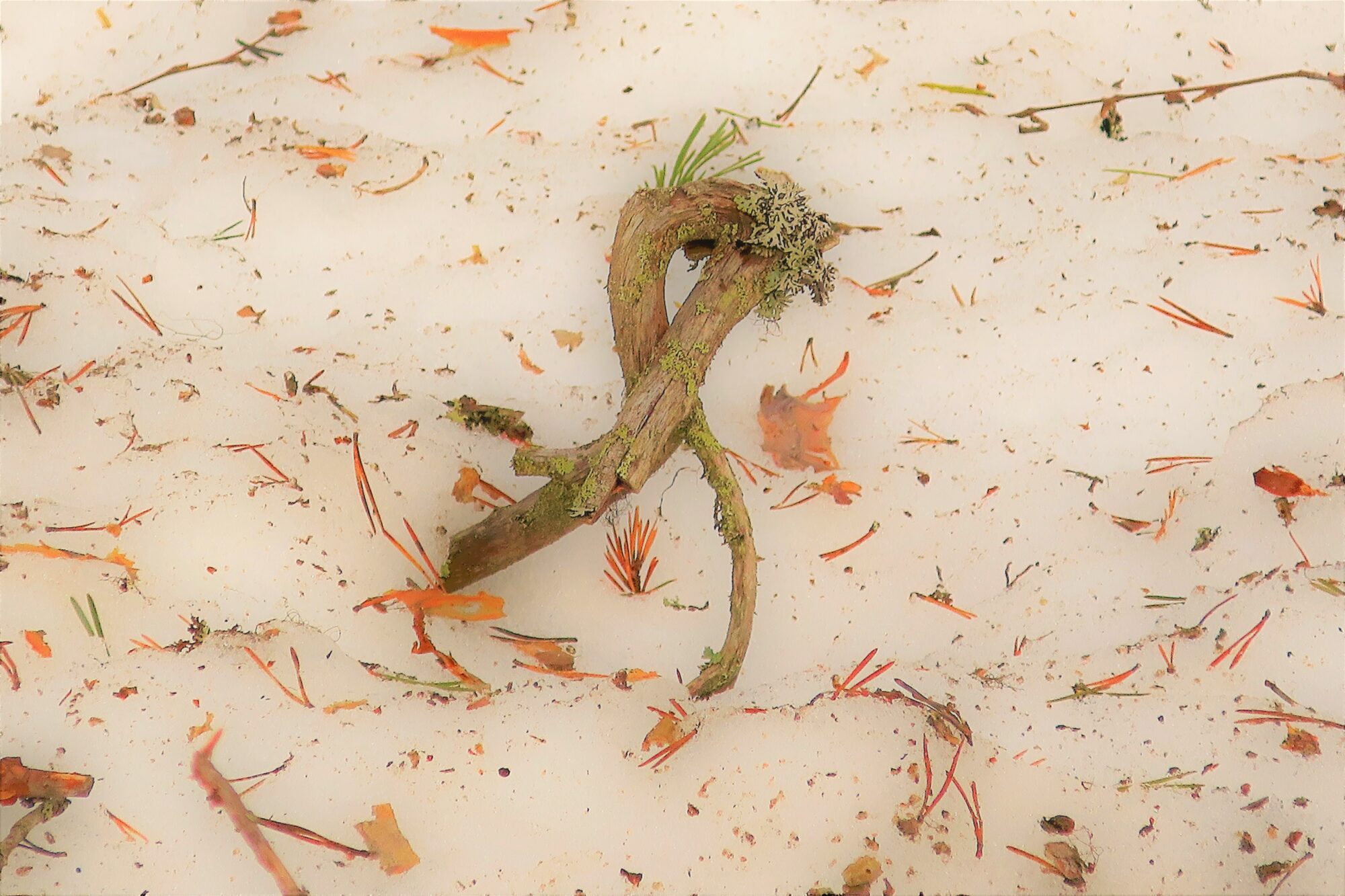 Valokuvaaja: Arto Alasuutari