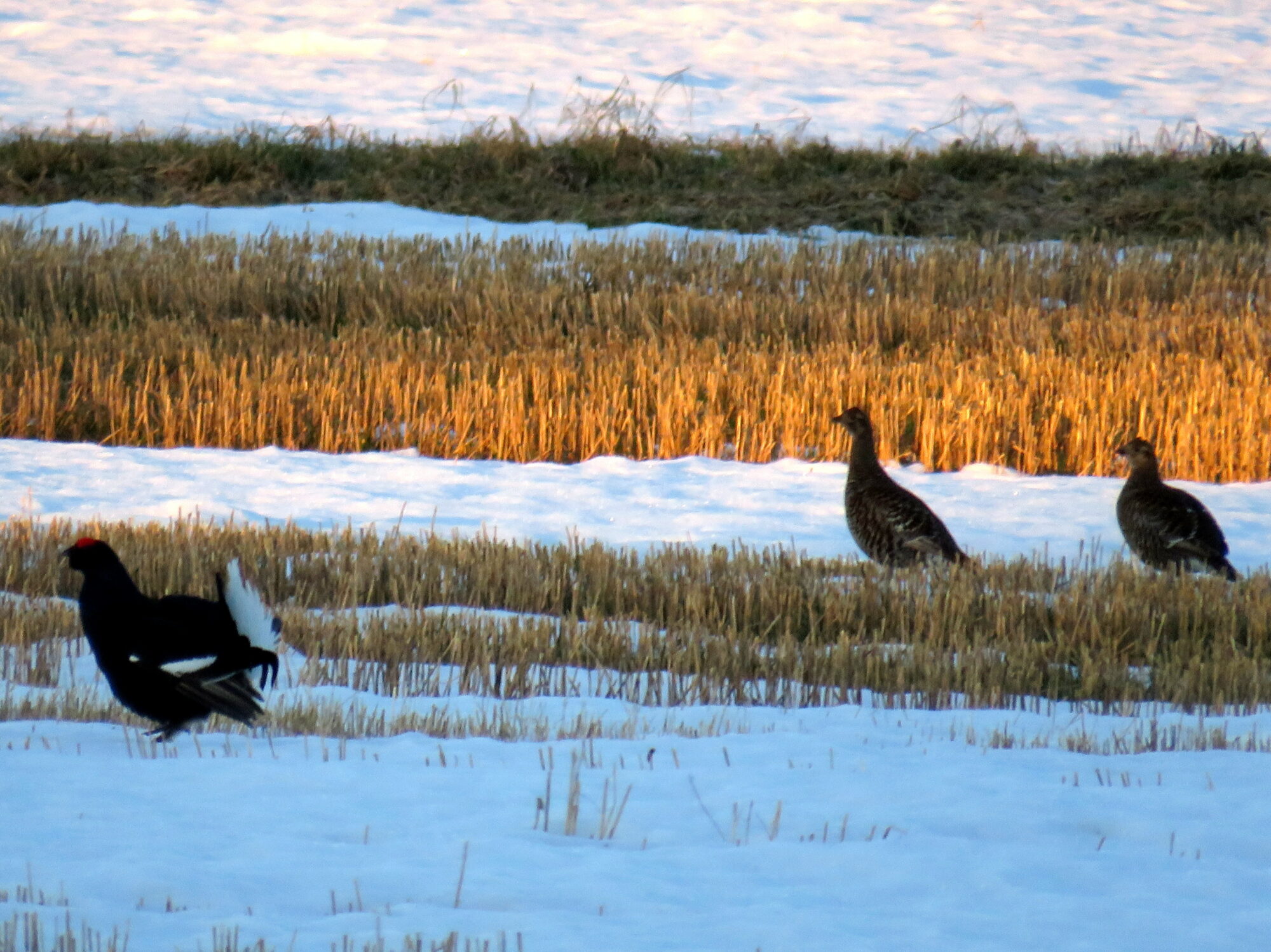 Valokuvaaja: Sirkka Ruotoistenmäki