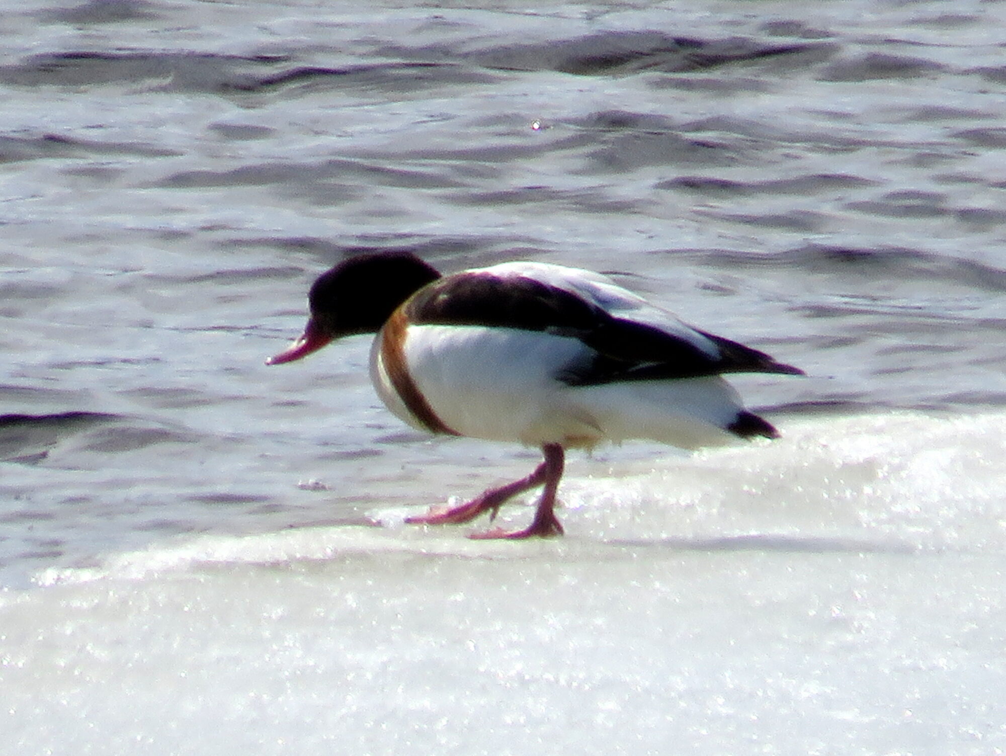 Valokuvaaja: Sirkka Ruotoistenmäki