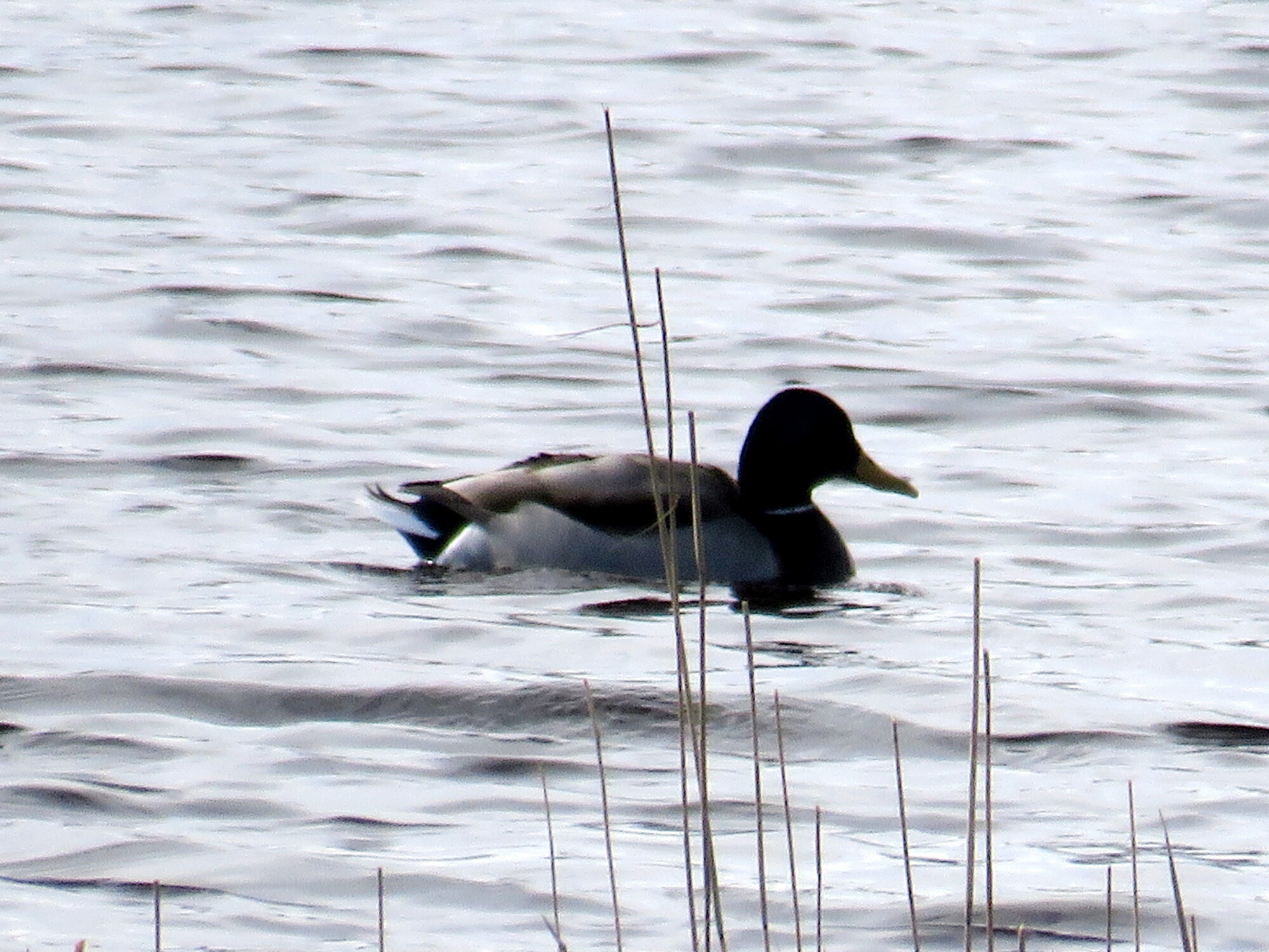 Valokuvaaja: Sirkka Ruotoistenmäki