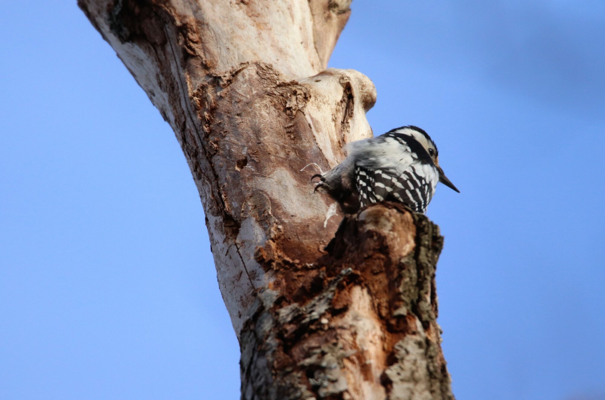 Valokuvaaja: Irja Lehtinen