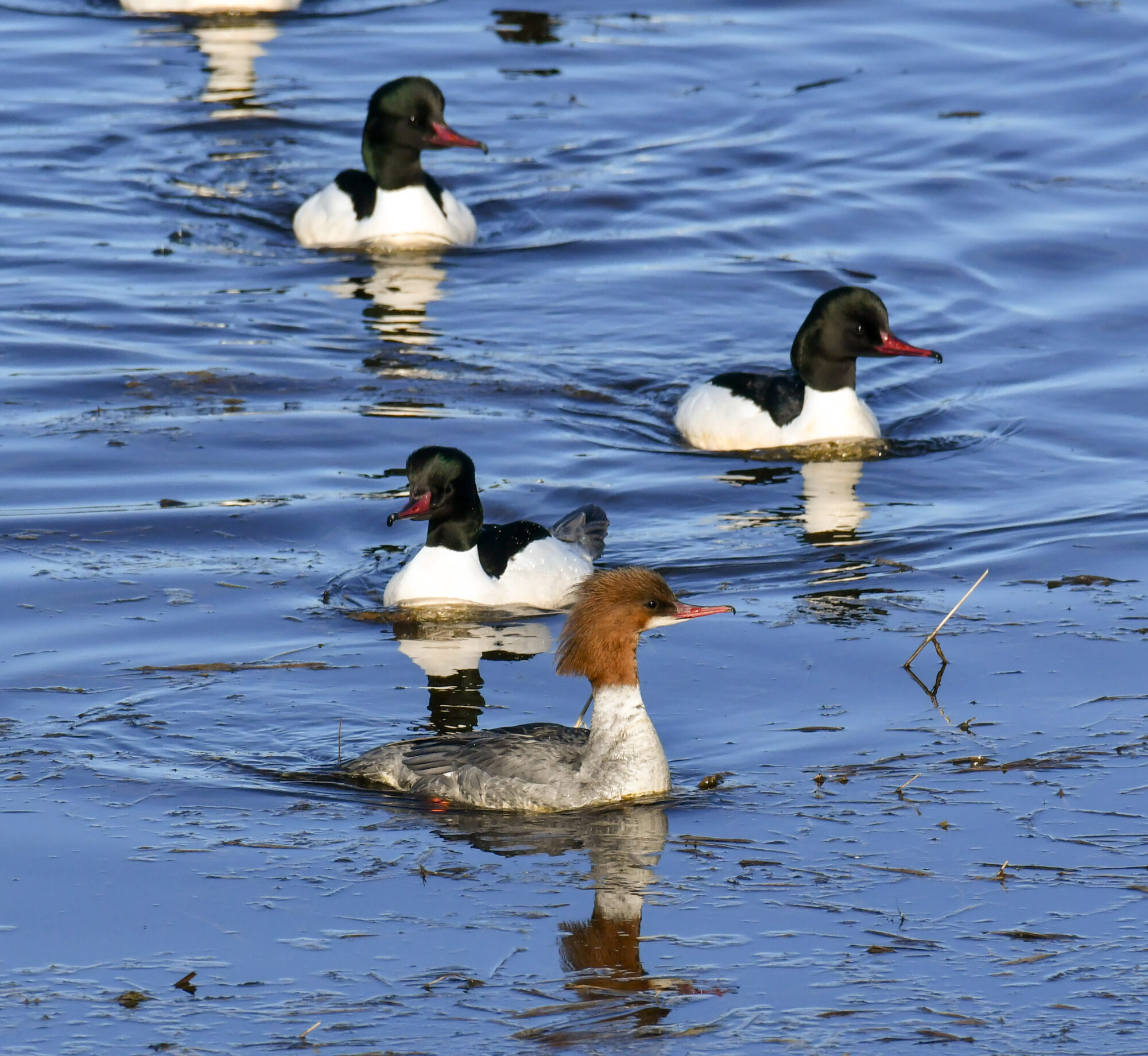 Valokuvaaja: Matti Manninen