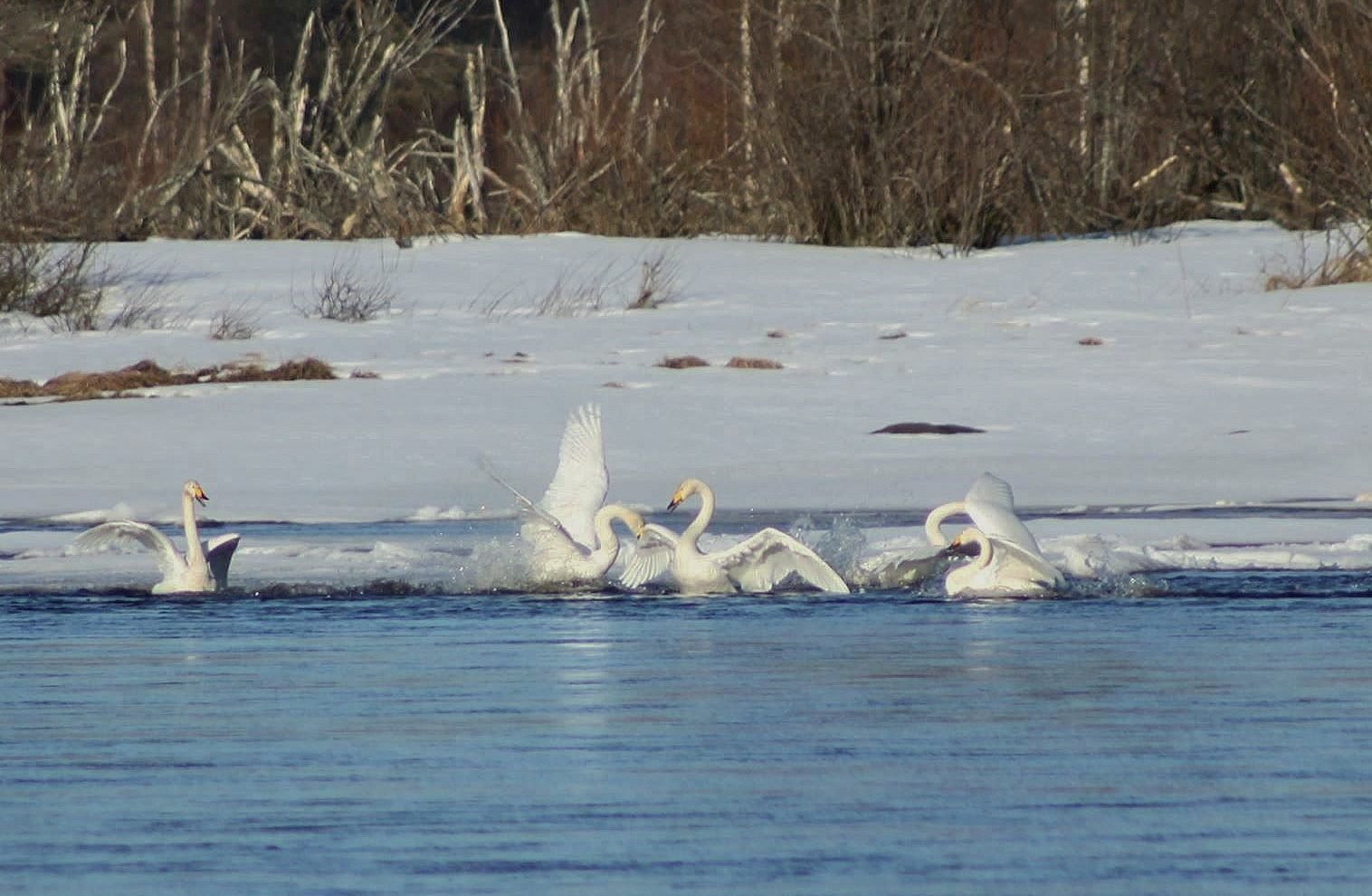 Valokuvaaja: Pirkko Siukonen