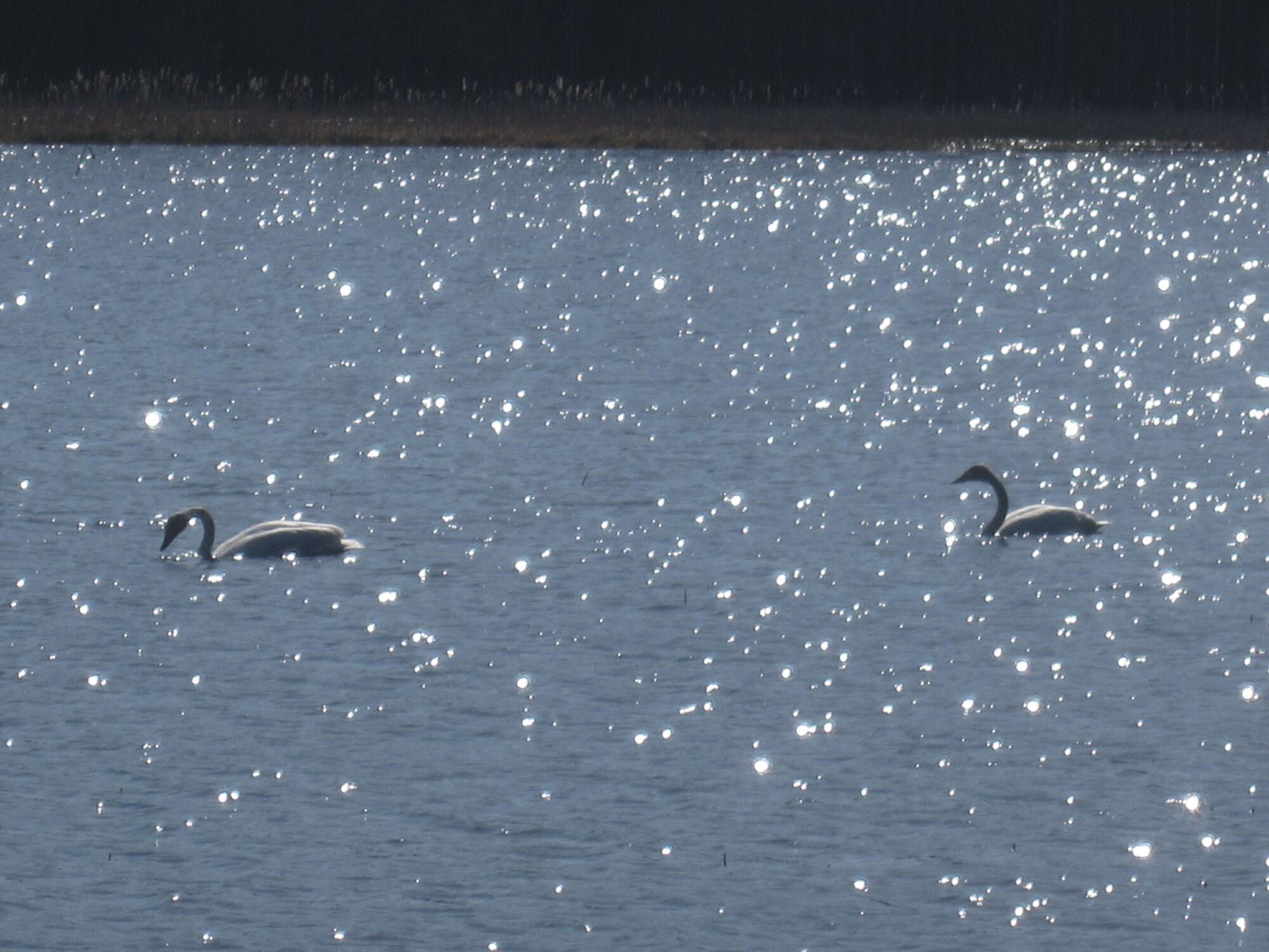 Valokuvaaja: Marita Portin
