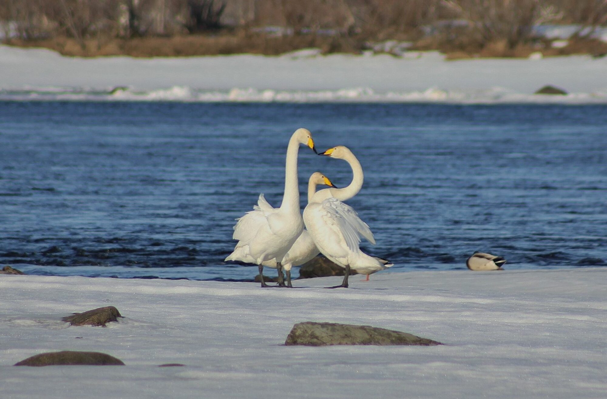 Valokuvaaja: Pirkko Siukonen