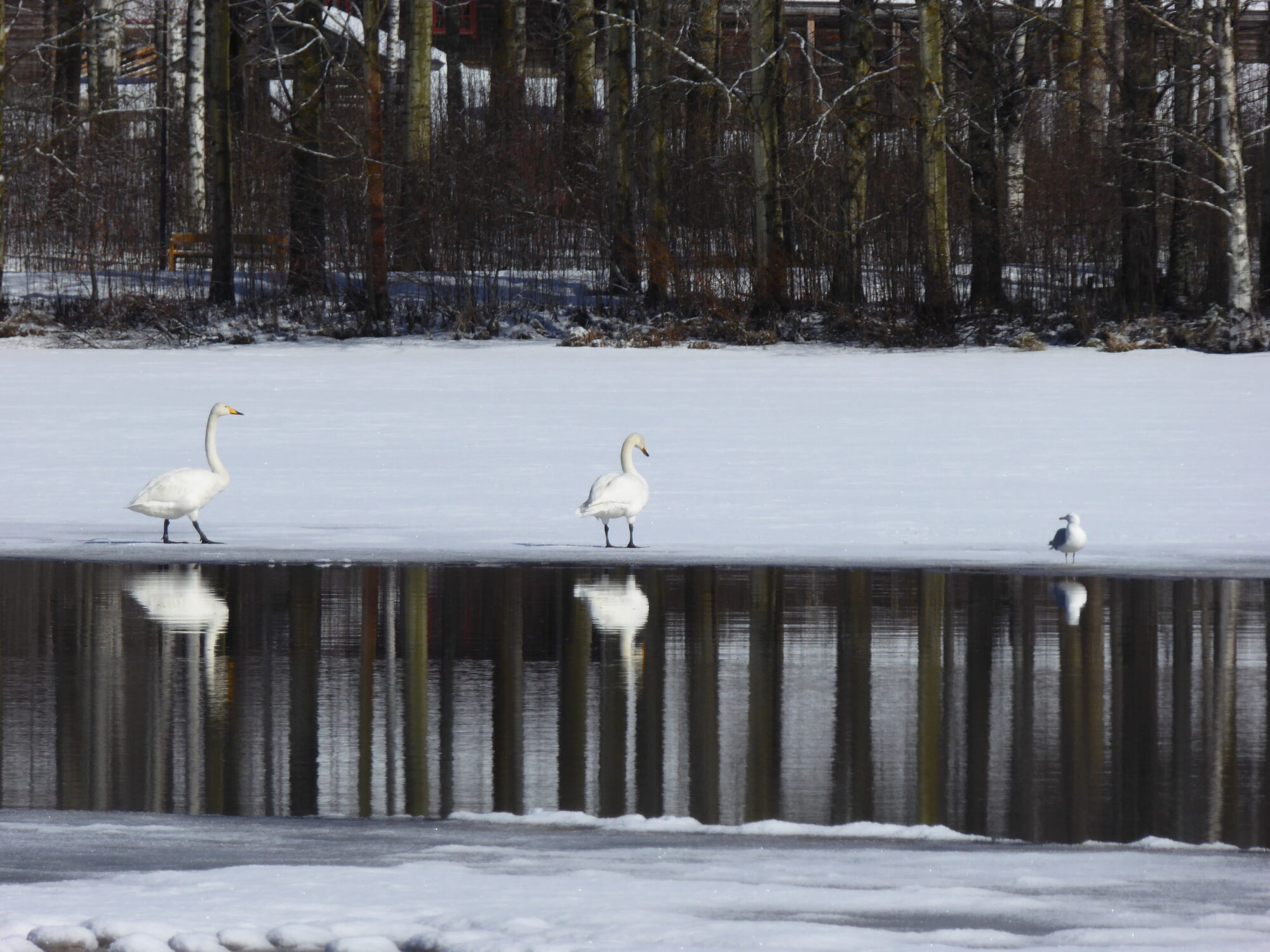 Valokuvaaja: Toni Asikainen