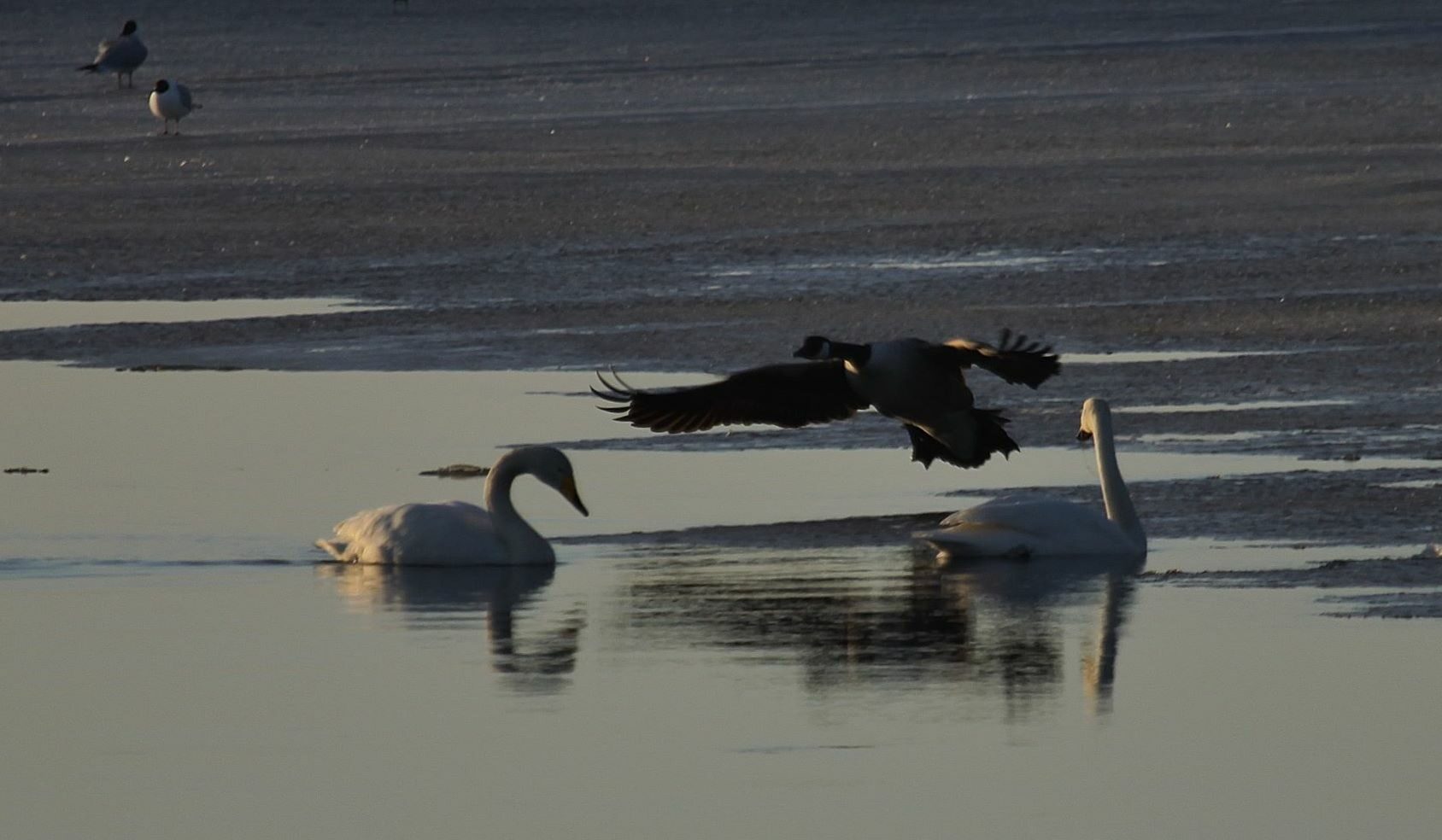Valokuvaaja: Pirkko Siukonen
