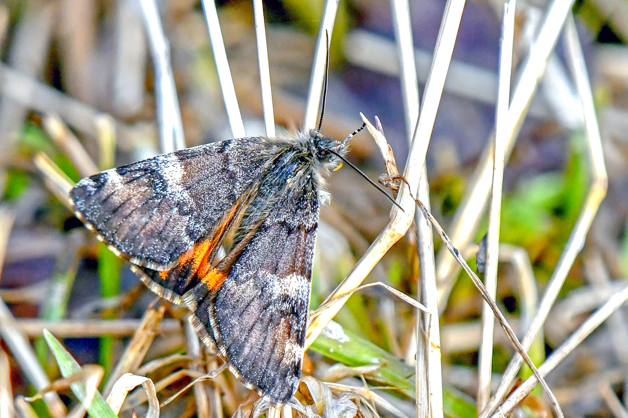 Valokuvaaja: Esko Pihl