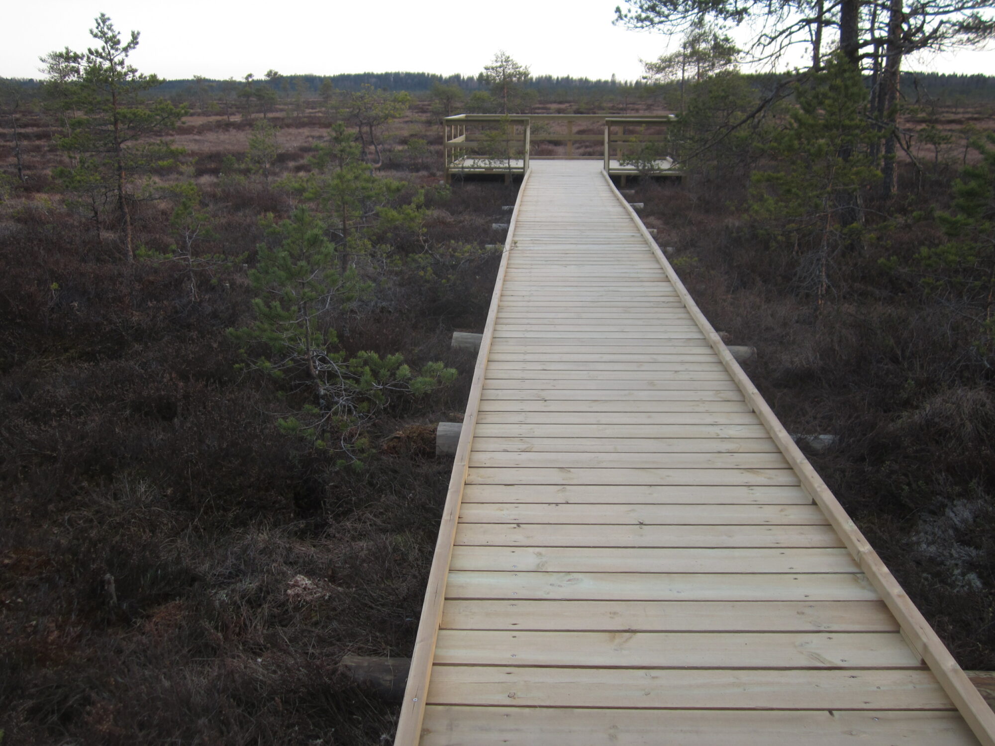 Valokuvaaja: Marita Portin