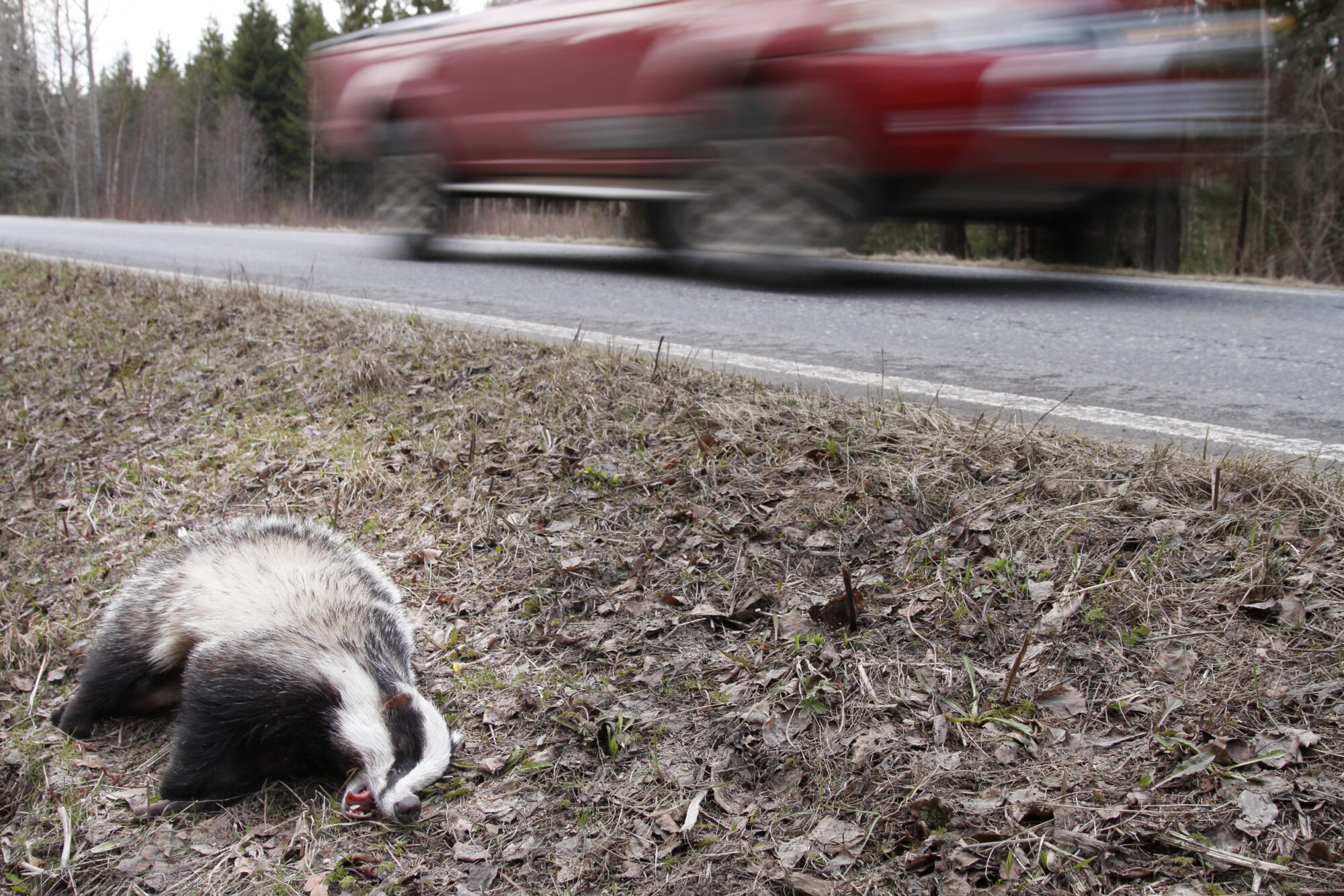 Valokuvaaja: Lasse Kokko