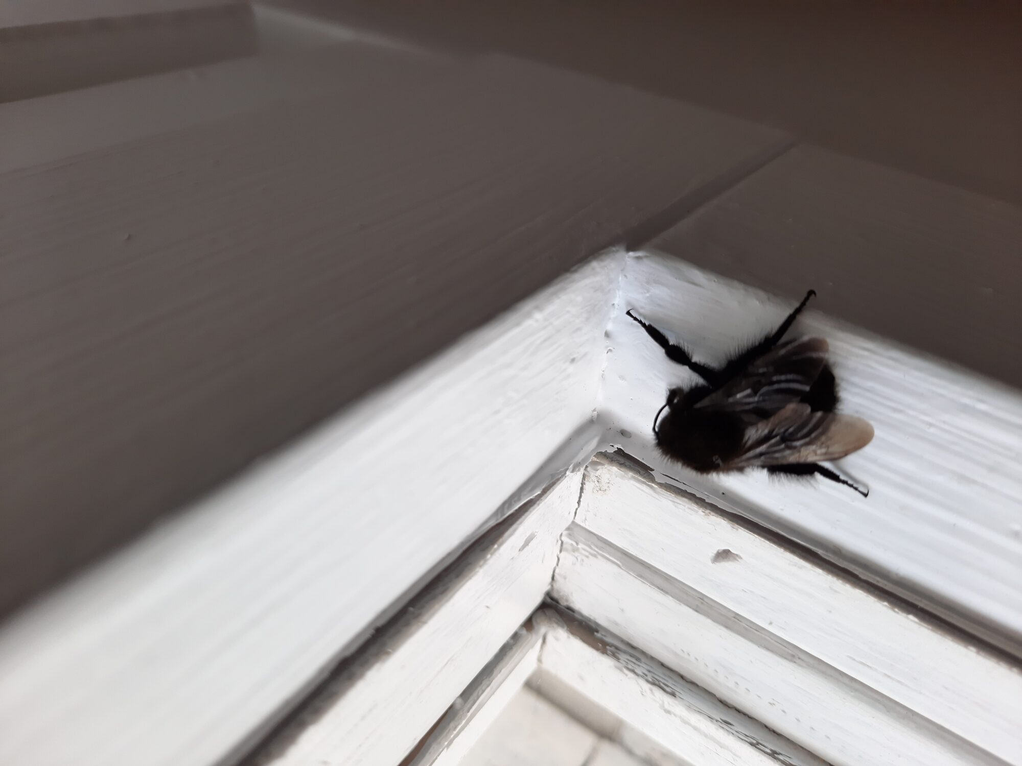 Valokuvaaja: Tiina Lindholm