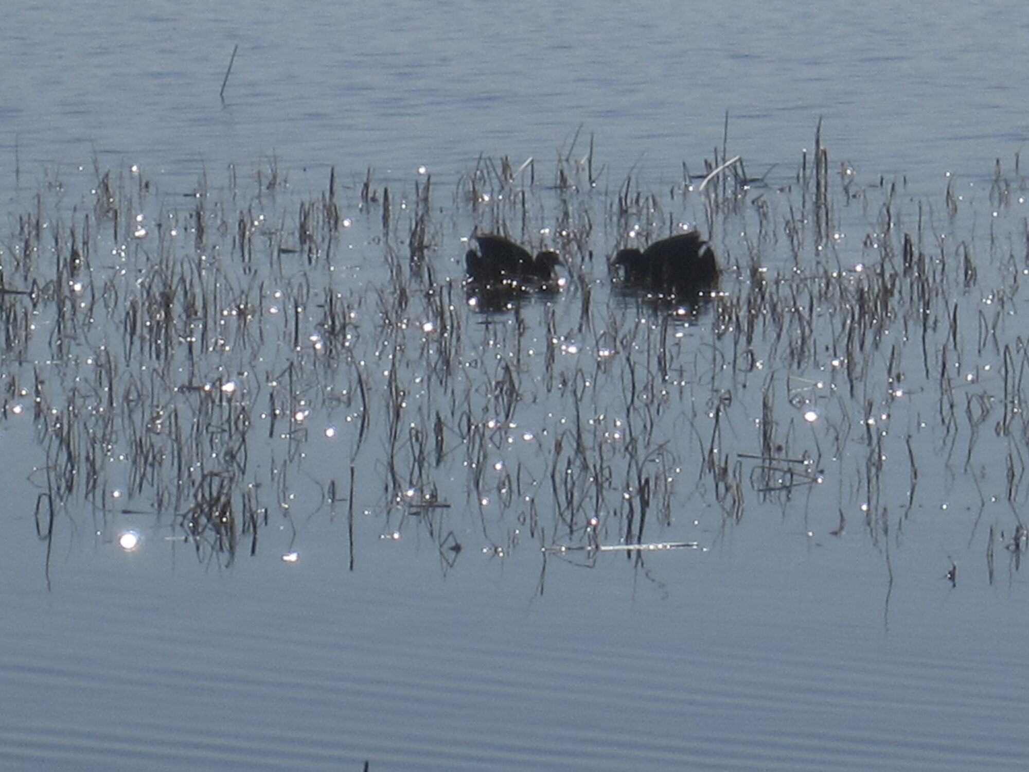 Valokuvaaja: Marita Portin