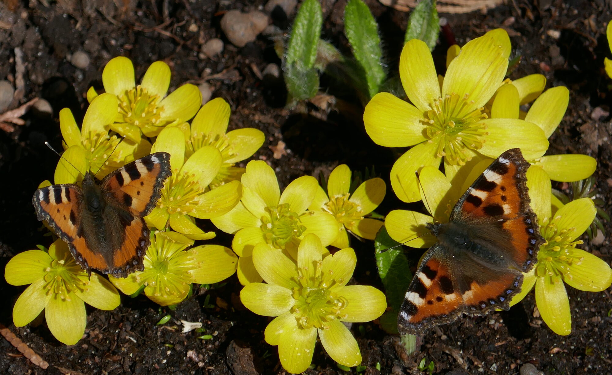 Valokuvaaja: Marjut Ikonen