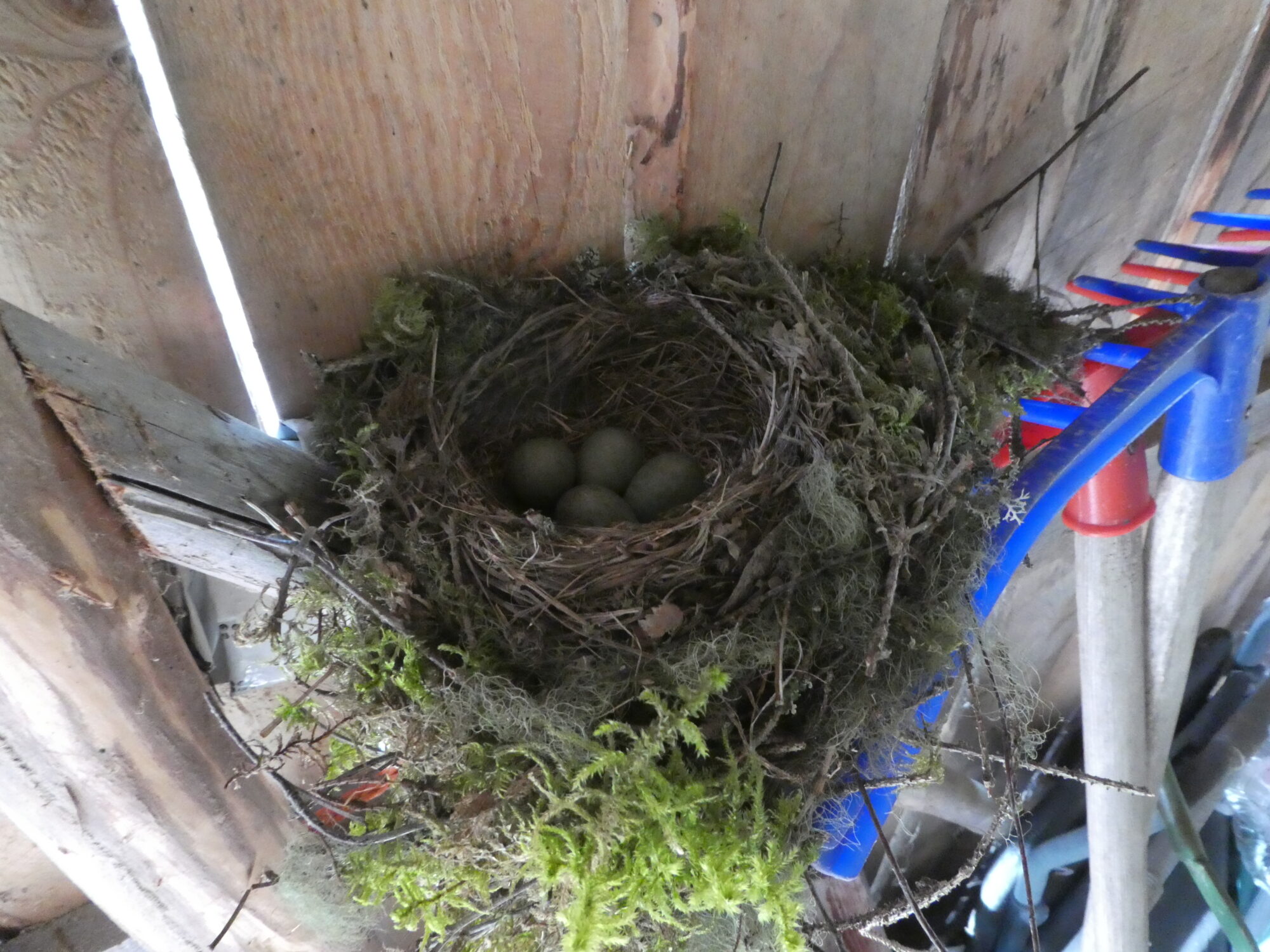 Valokuvaaja: Anja Mustamaa