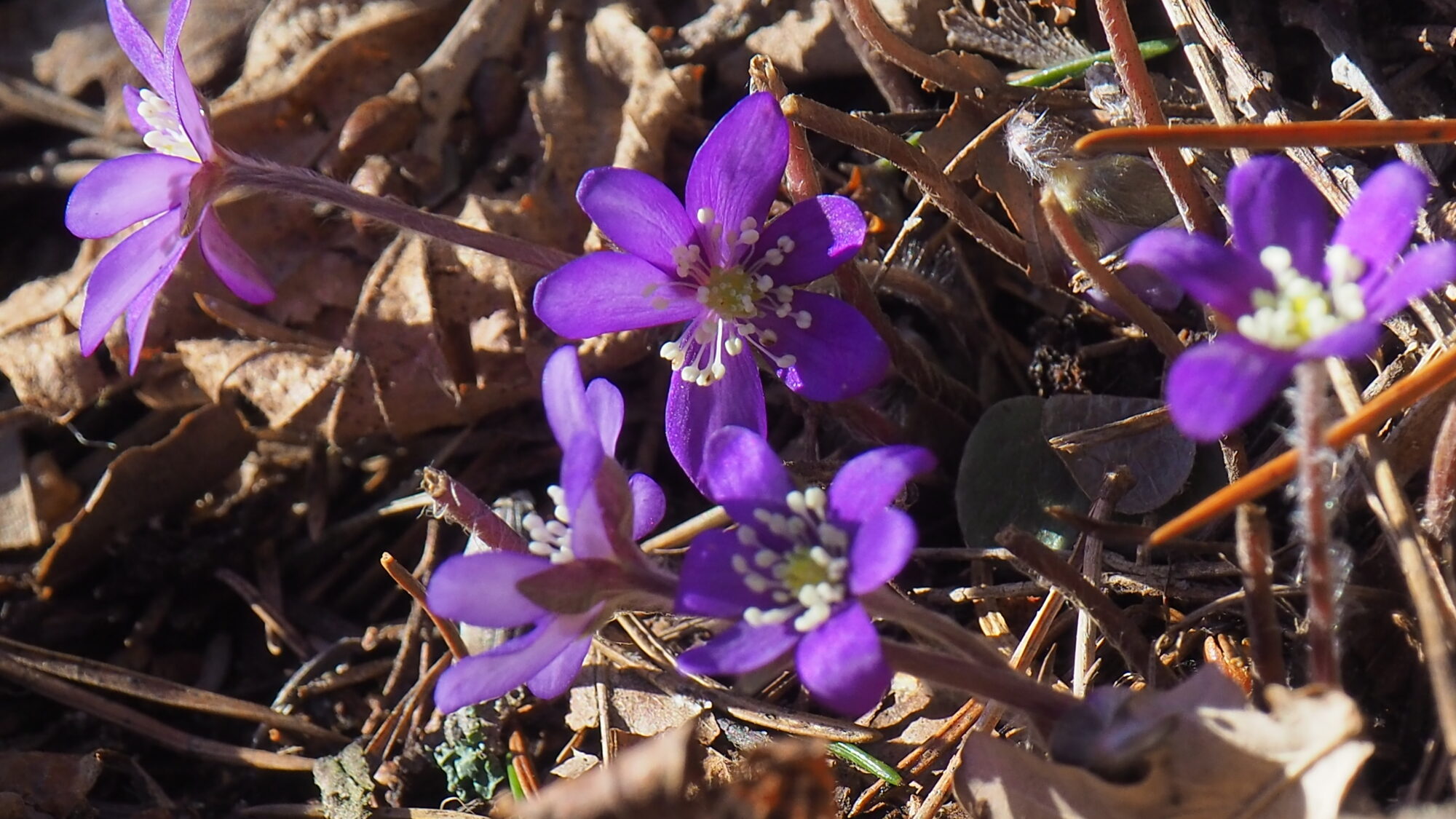 Valokuvaaja: Martti Valtonen