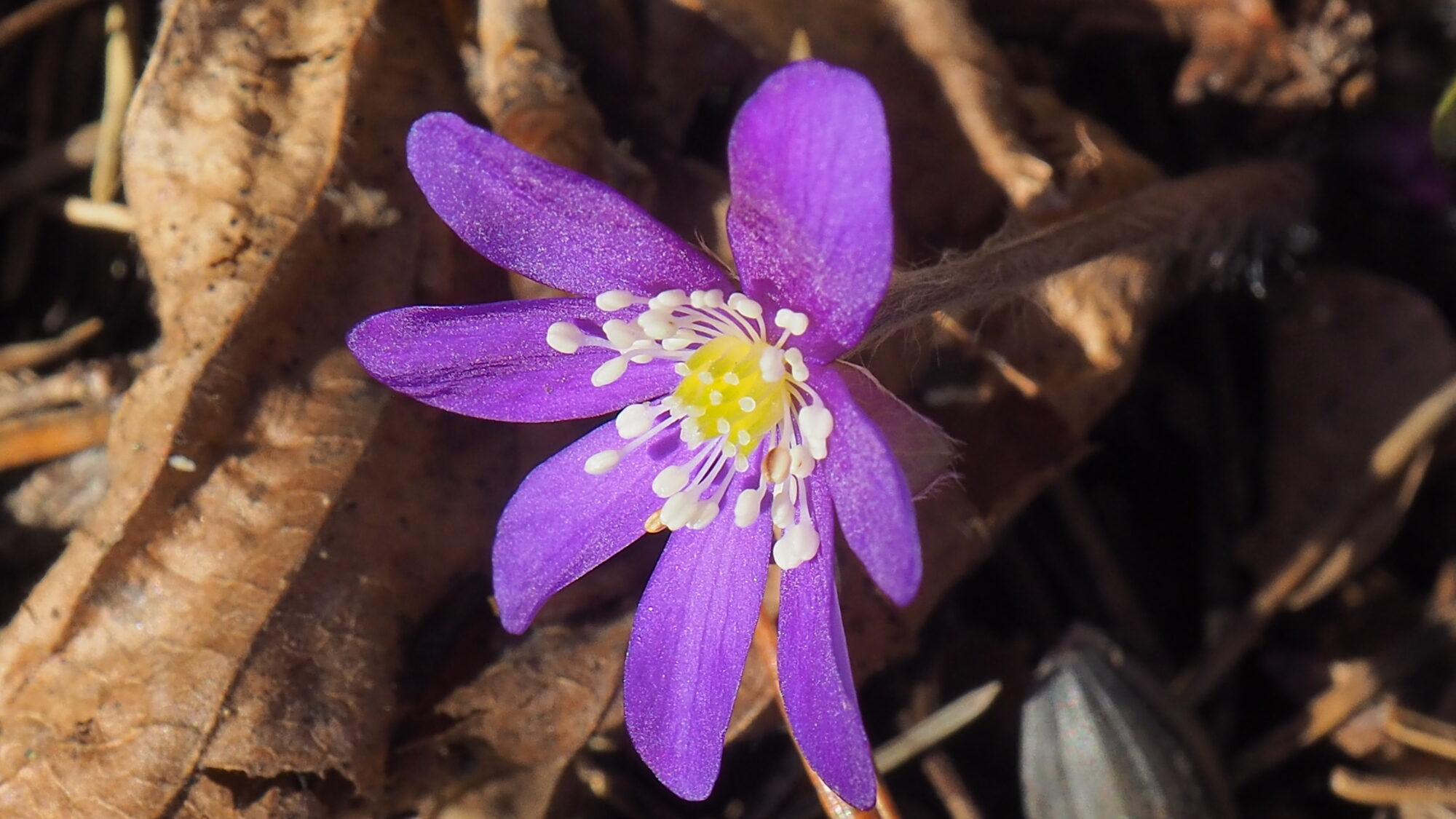 Valokuvaaja: Martti Valtonen