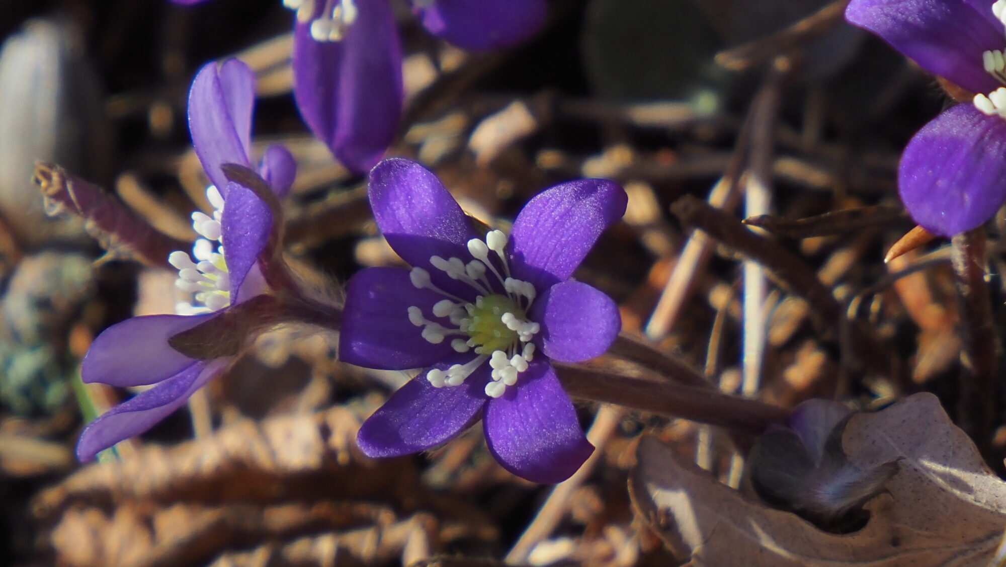 Valokuvaaja: Arja Valtonen