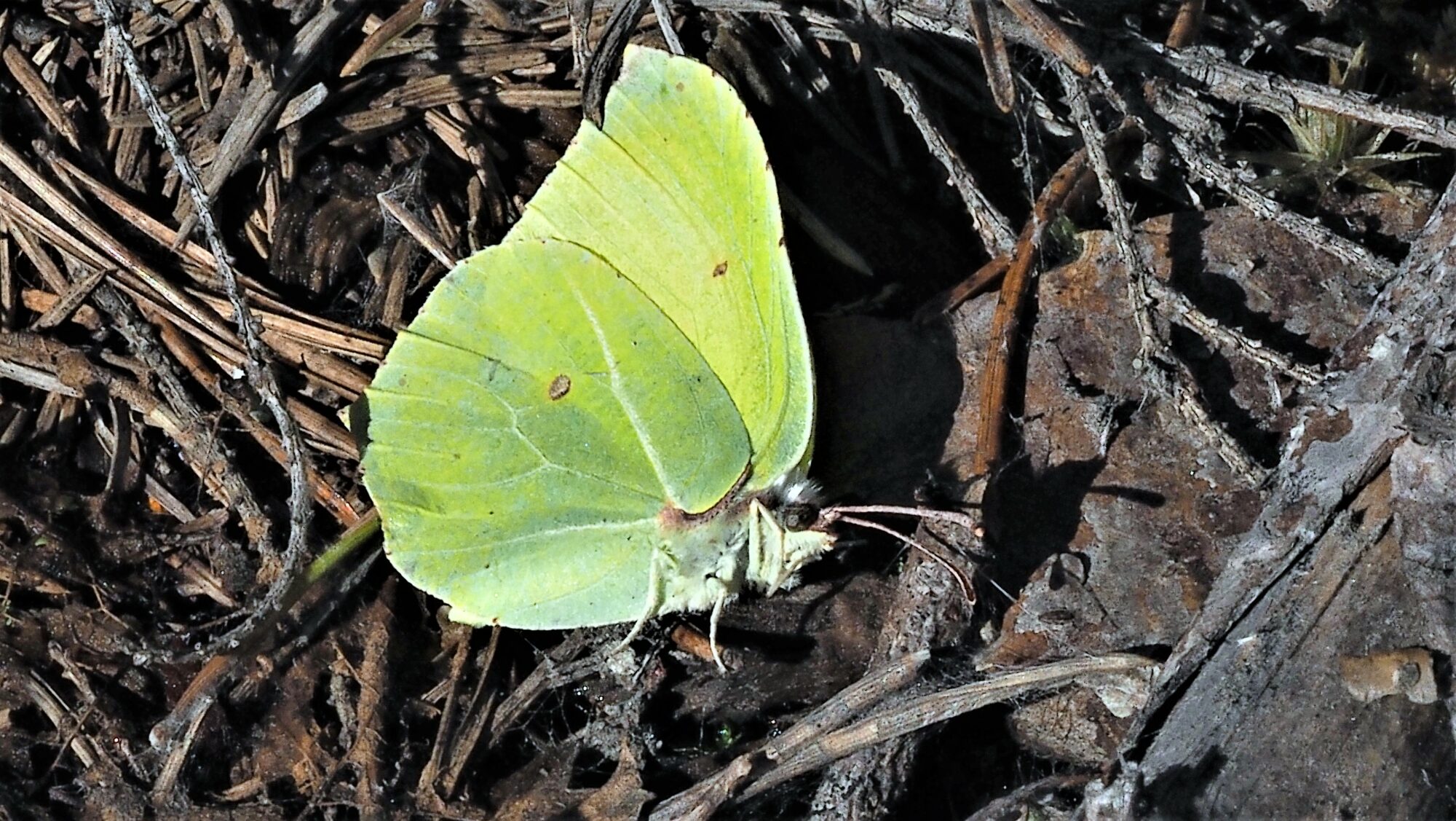 Valokuvaaja: Arja Valtonen
