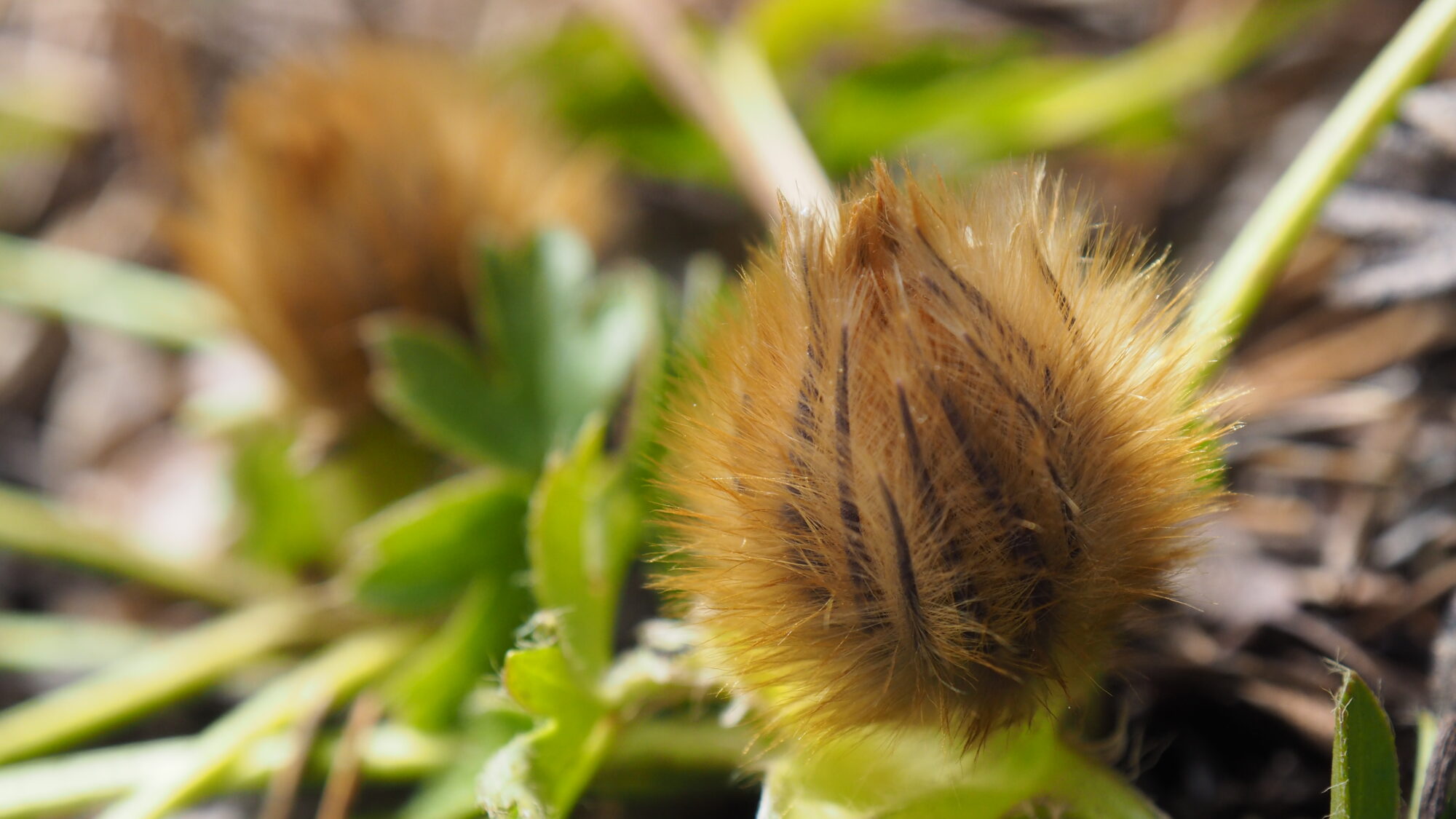 Valokuvaaja: Martti Valtonen