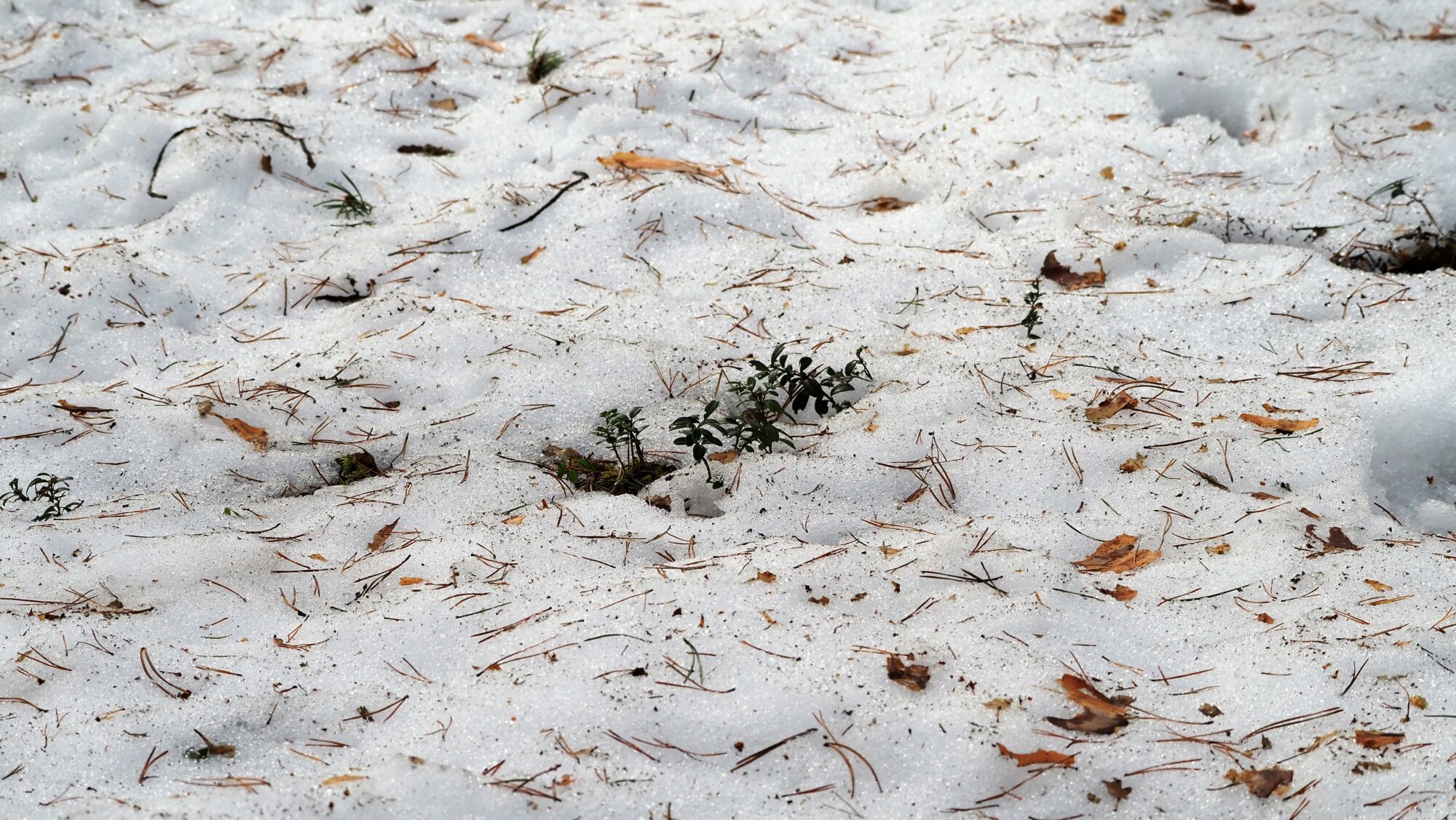 Valokuvaaja: Arja Valtonen